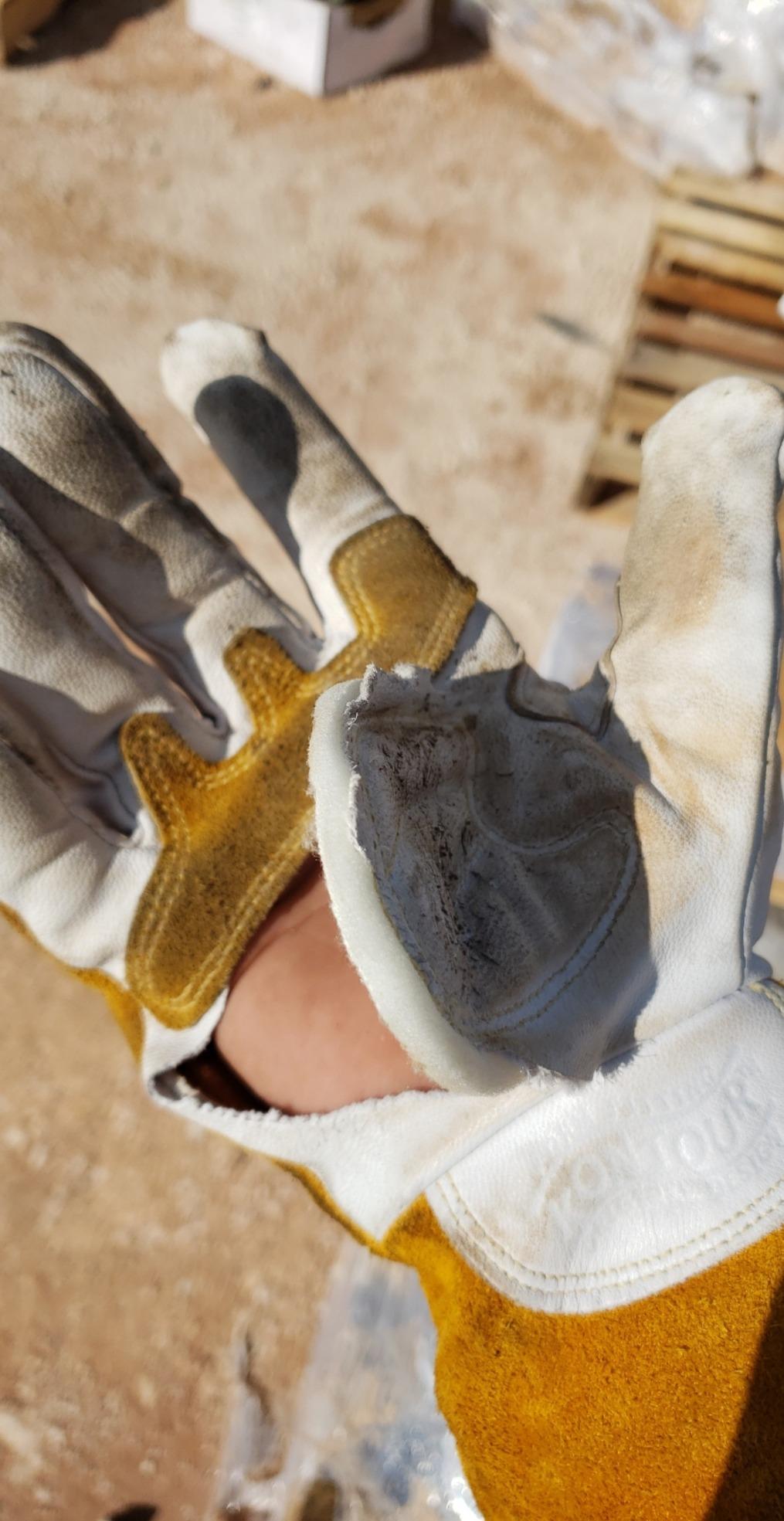 Caiman Premium Goat Grain TIG/MIG Welding Gloves with Wool Insulated Back, Scalloped Cuff, Boarhide Palm, Unlined, Reinforced Thumb, Kevlar, Kontour Design, White/Gold, Large (1871-5) customer photo 1