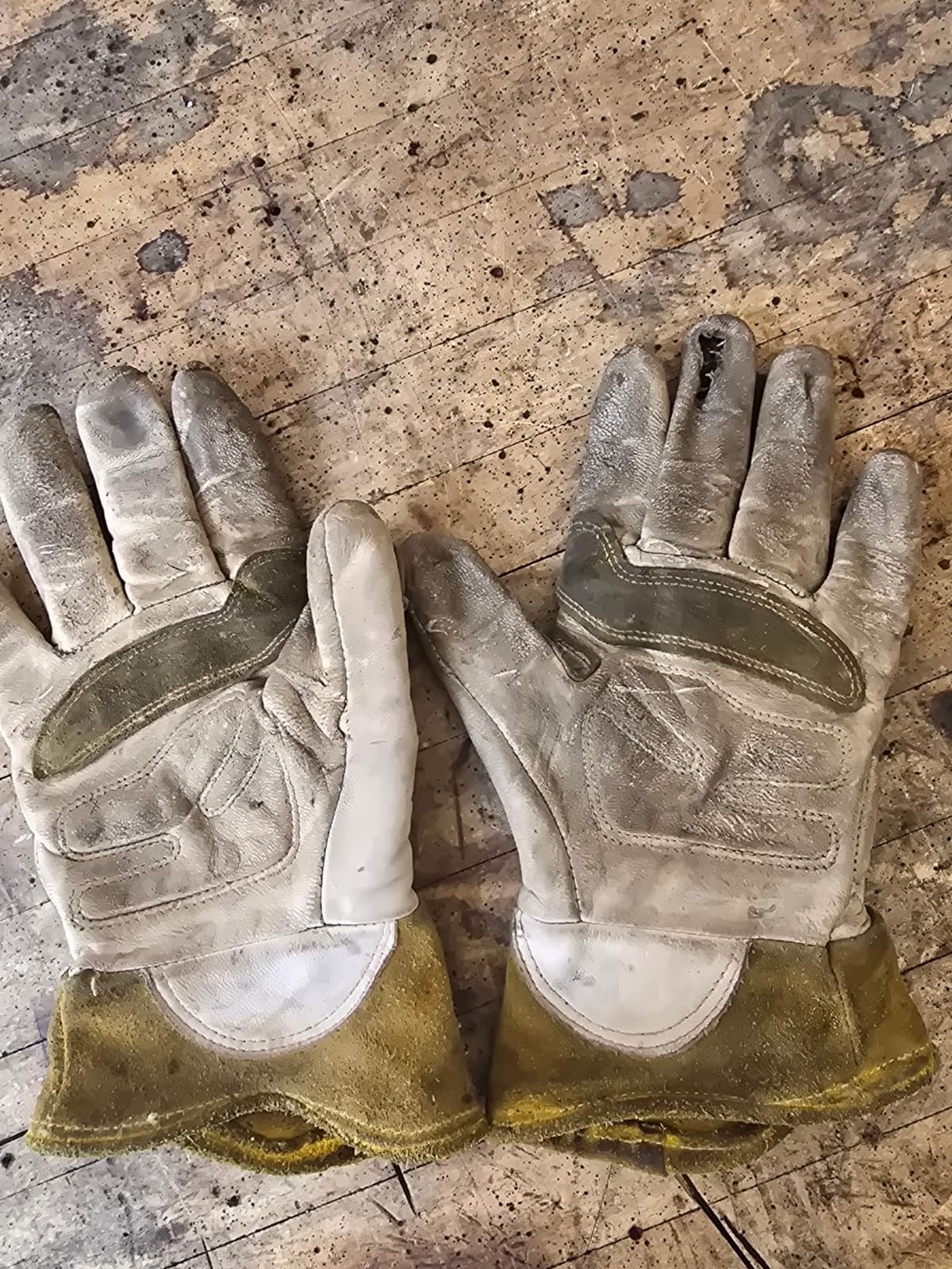 Caiman Premium Goat Grain TIG/MIG Welding Gloves with Wool Insulated Back, Scalloped Cuff, Boarhide Palm, Unlined, Reinforced Thumb, Kevlar, Kontour Design, White/Gold, Large (1871-5) customer photo 2