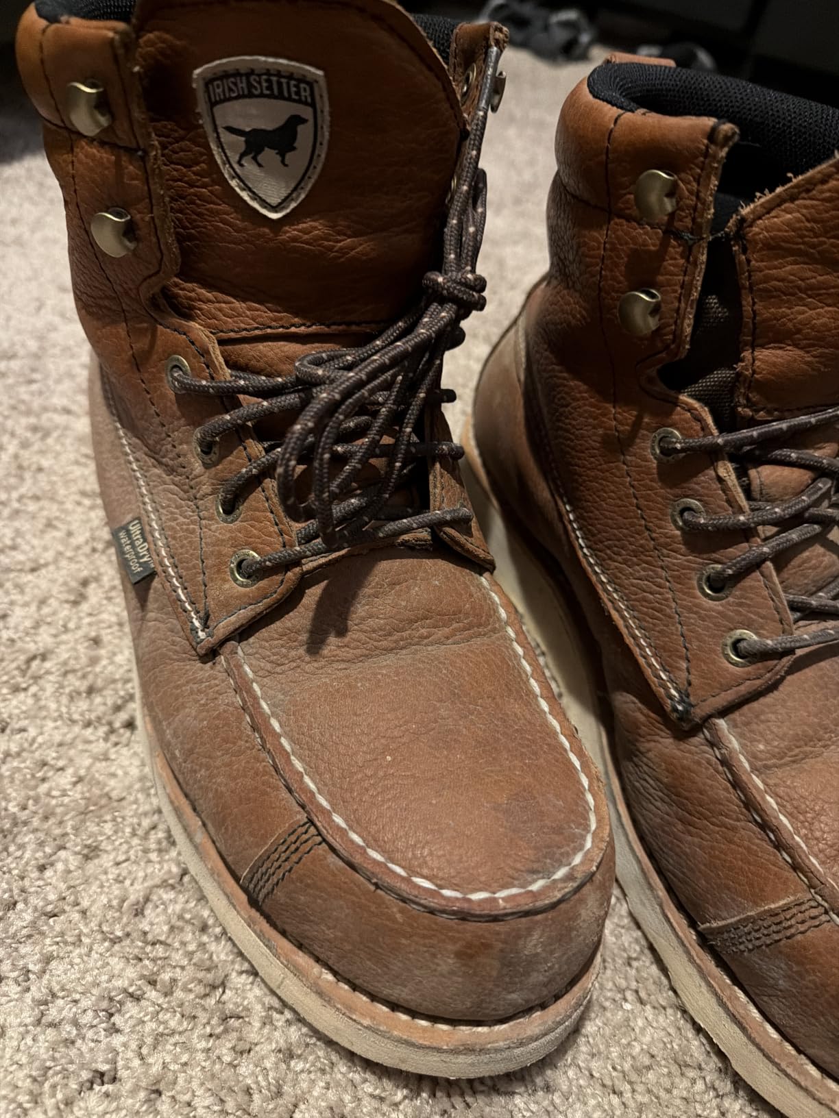 Irish Setter Wingshooter ST 6