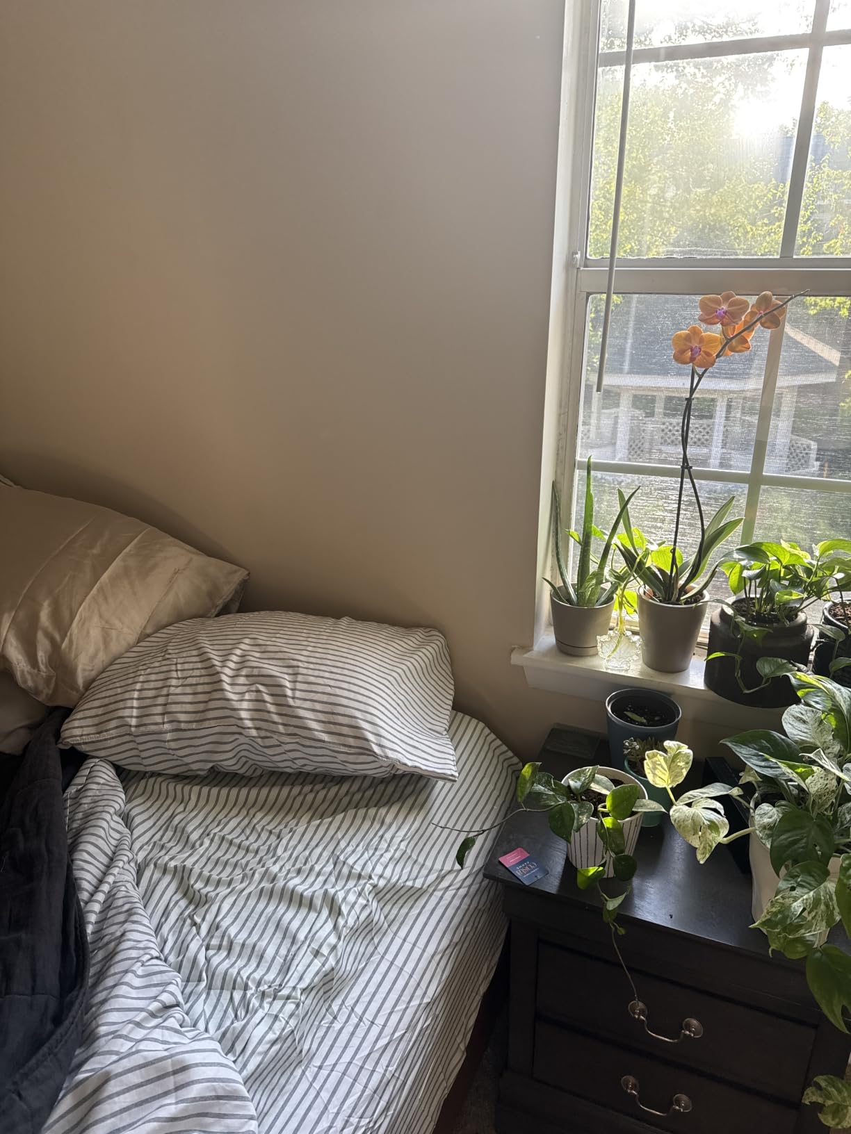 Queen Size 4 Piece Sheet Set - Breathable & Cooling Sheets - Dark Grey customer photo 2