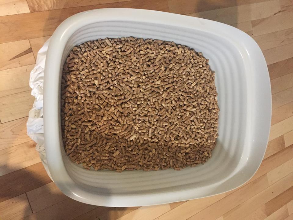 Arm and Hammer Sifter customer photo 2