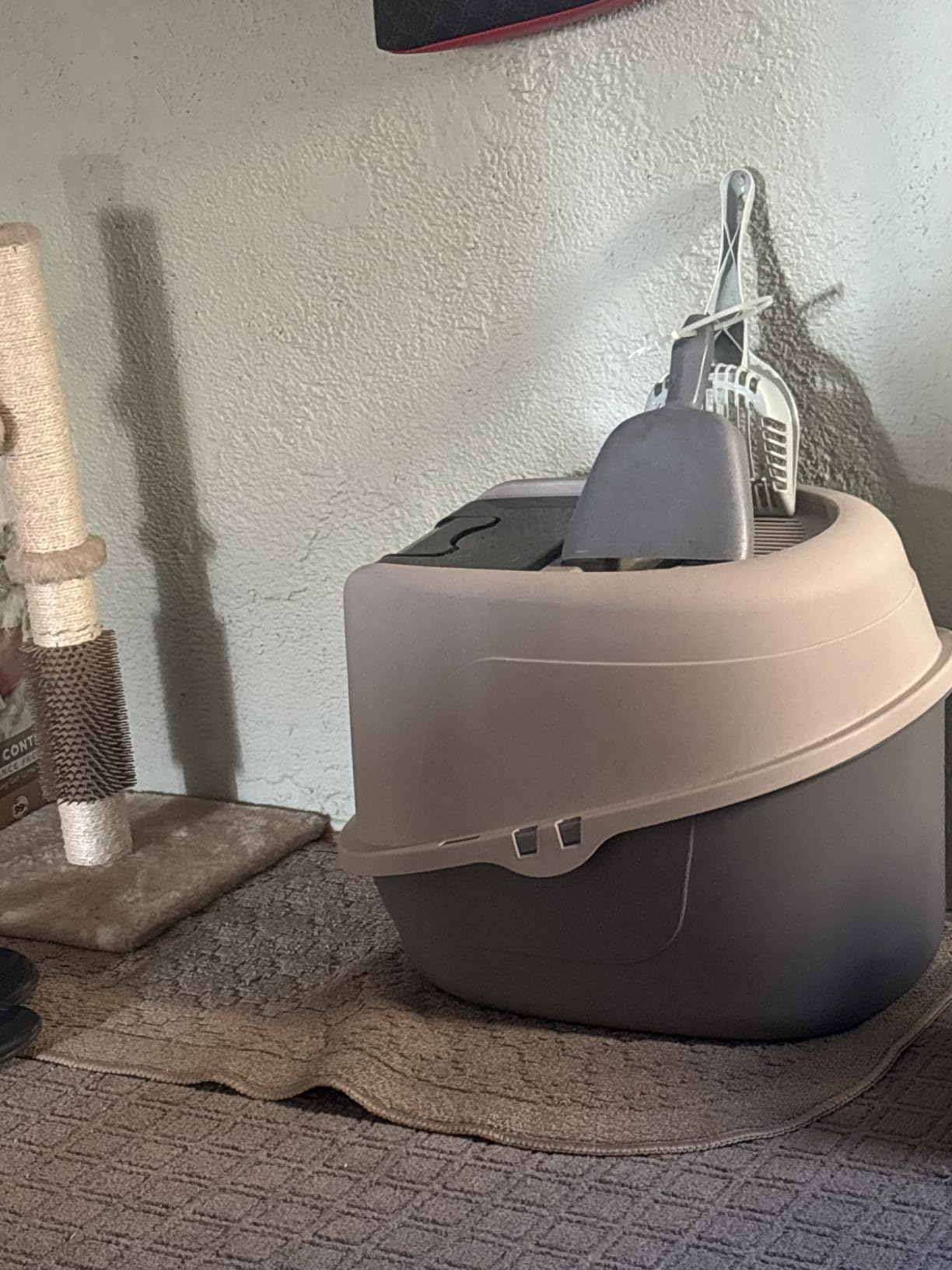 Amazon Basics Hooded Box customer photo 1