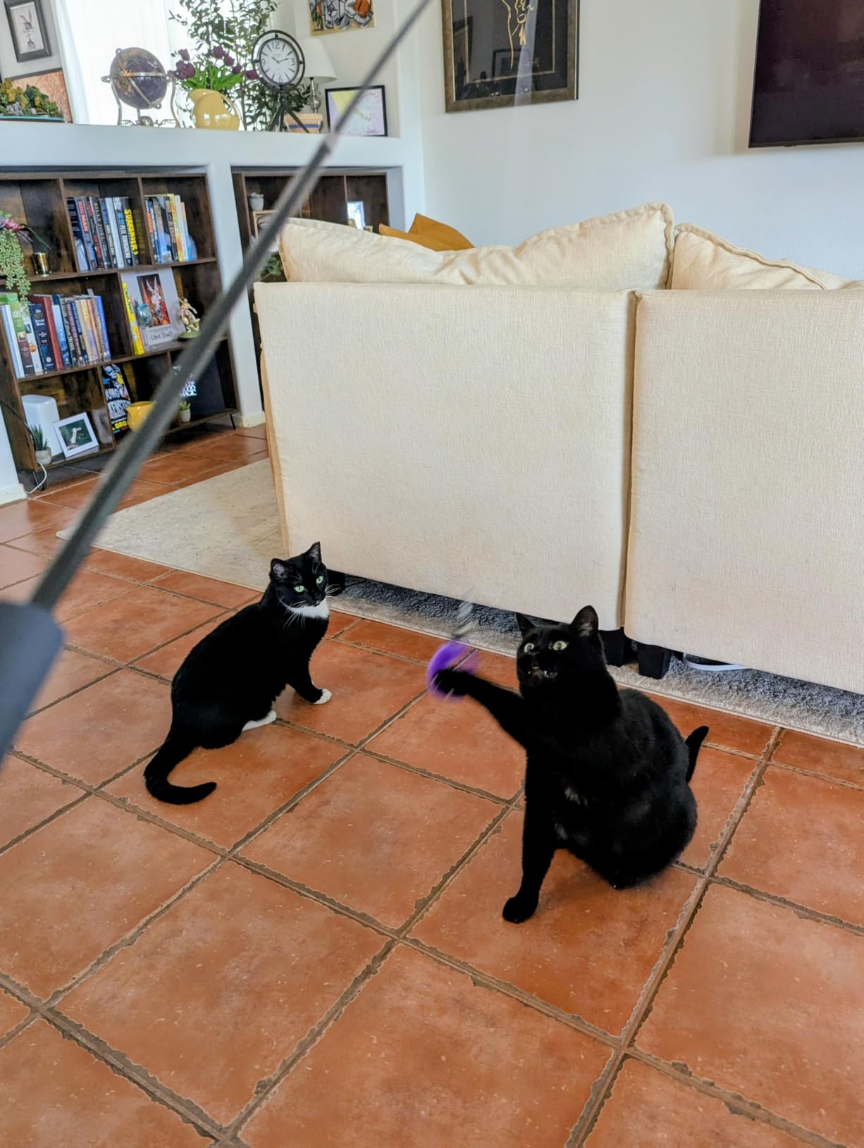 MeoHui Cat Wand Set customer photo 2