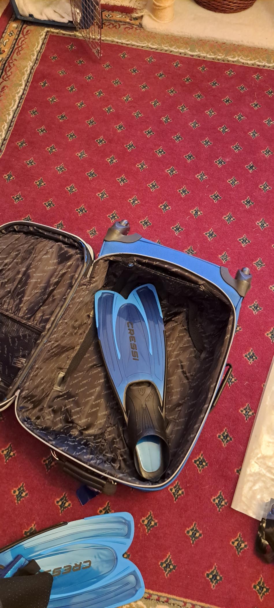 Cressi Adult Snorkeling Fins with Self-Adjustable Comfortable Full Foot Pocket - Perfect for Traveling - Agua: Made in Italy customer photo 1