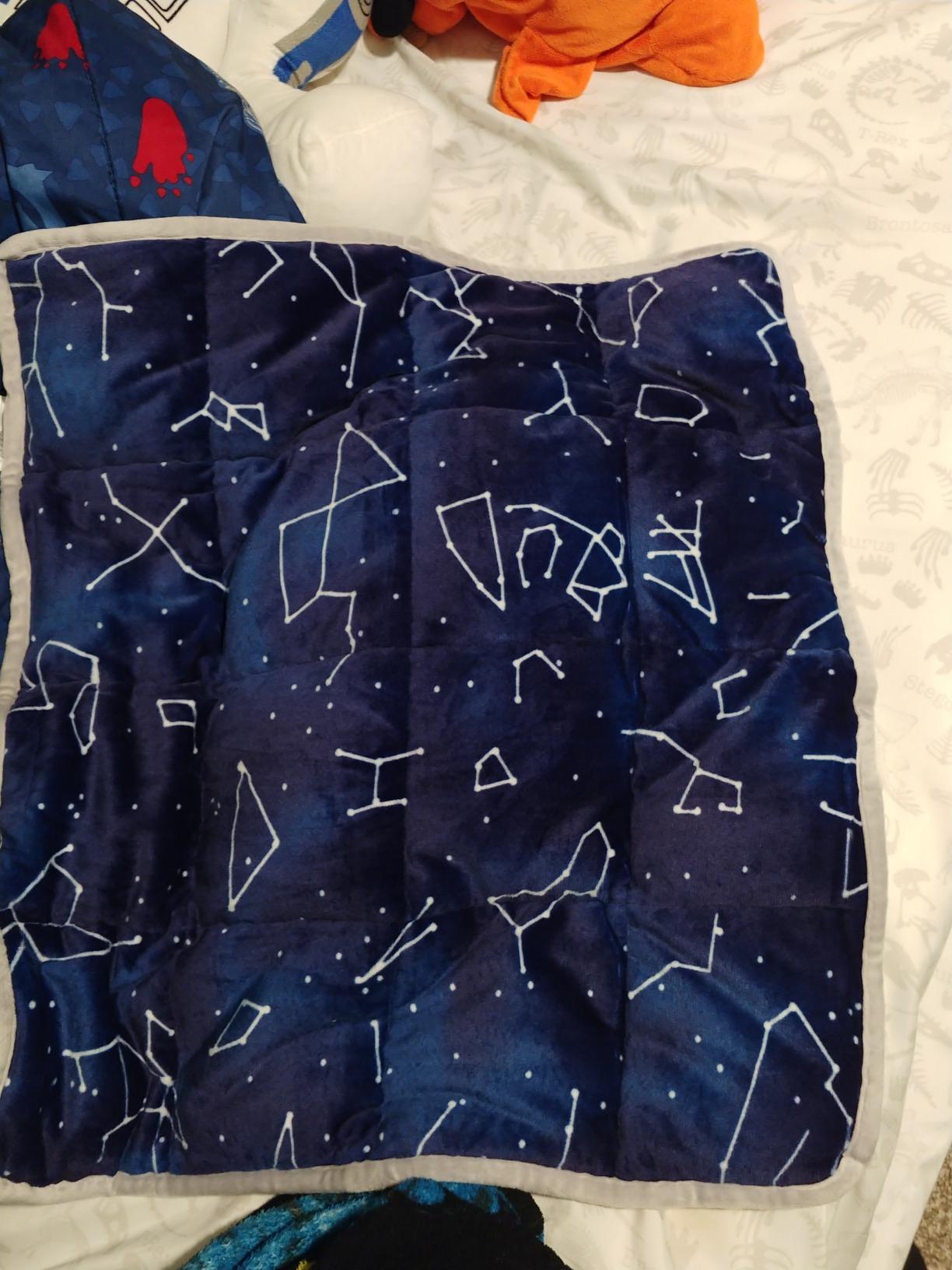 Florensi Weighted Lap Pad 5 lb 20 x 23 in Blue Sensory Relax Blanket customer photo 1