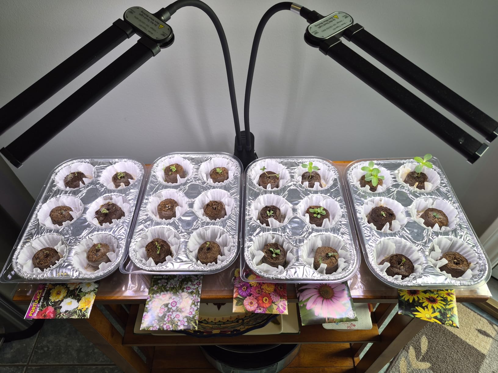 LED Grow Light, 6000K White Full Spectrum Clip Plant Growing Lamp | with Rotatable Dual Head for Indoor Desk Plants,Dimmable & Timer 4/8/12H,High Power Output for Faster Growth,1-Head customer photo 2