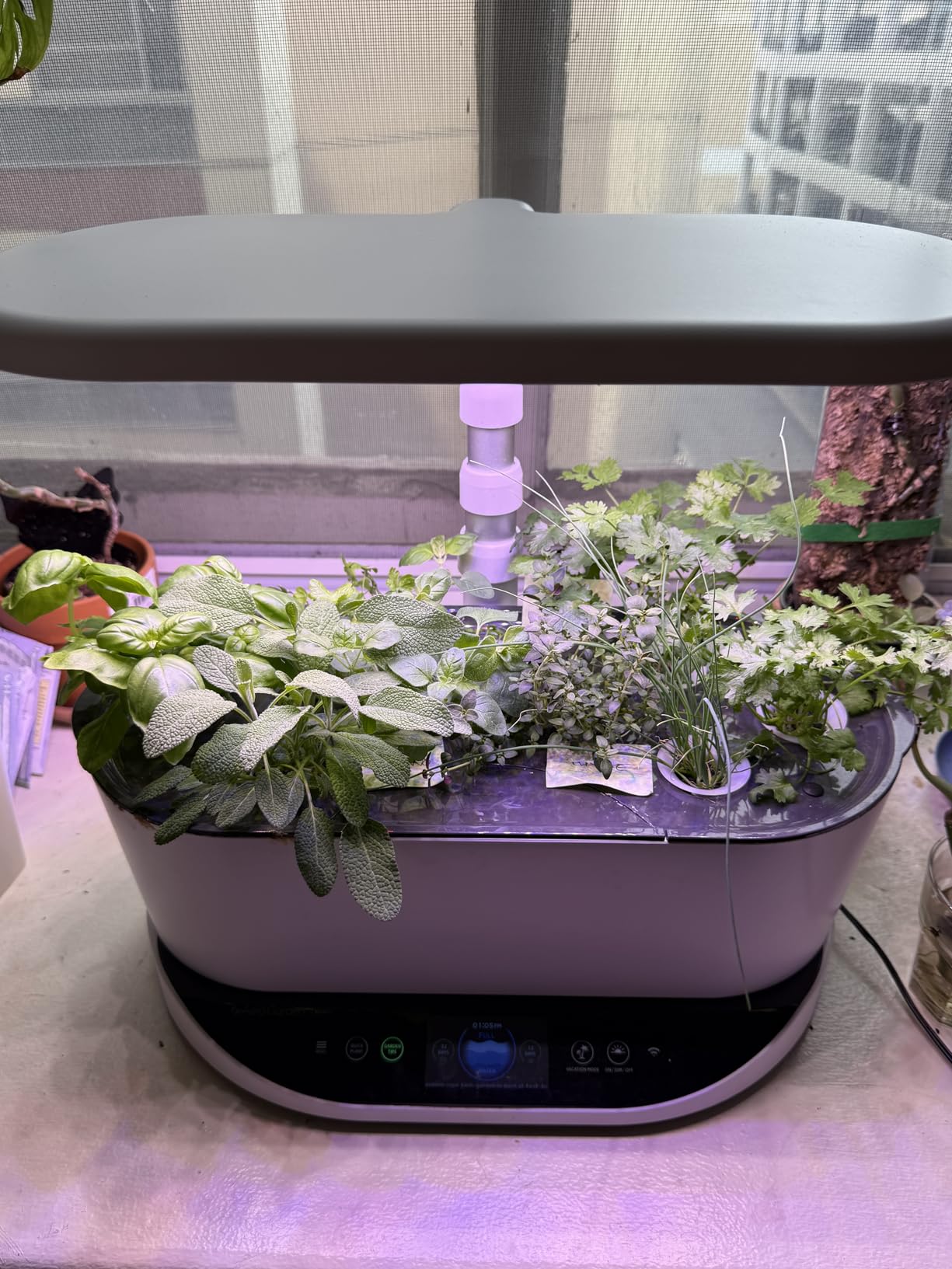 AeroGarden Bounty, Black customer photo 1