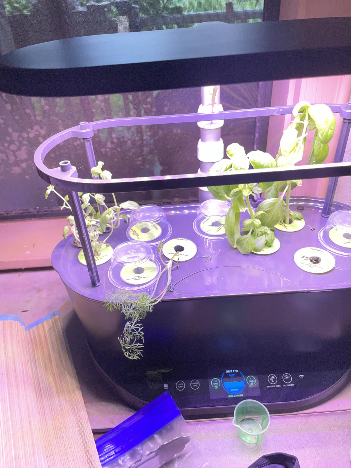 AeroGarden Bounty, White customer photo 2