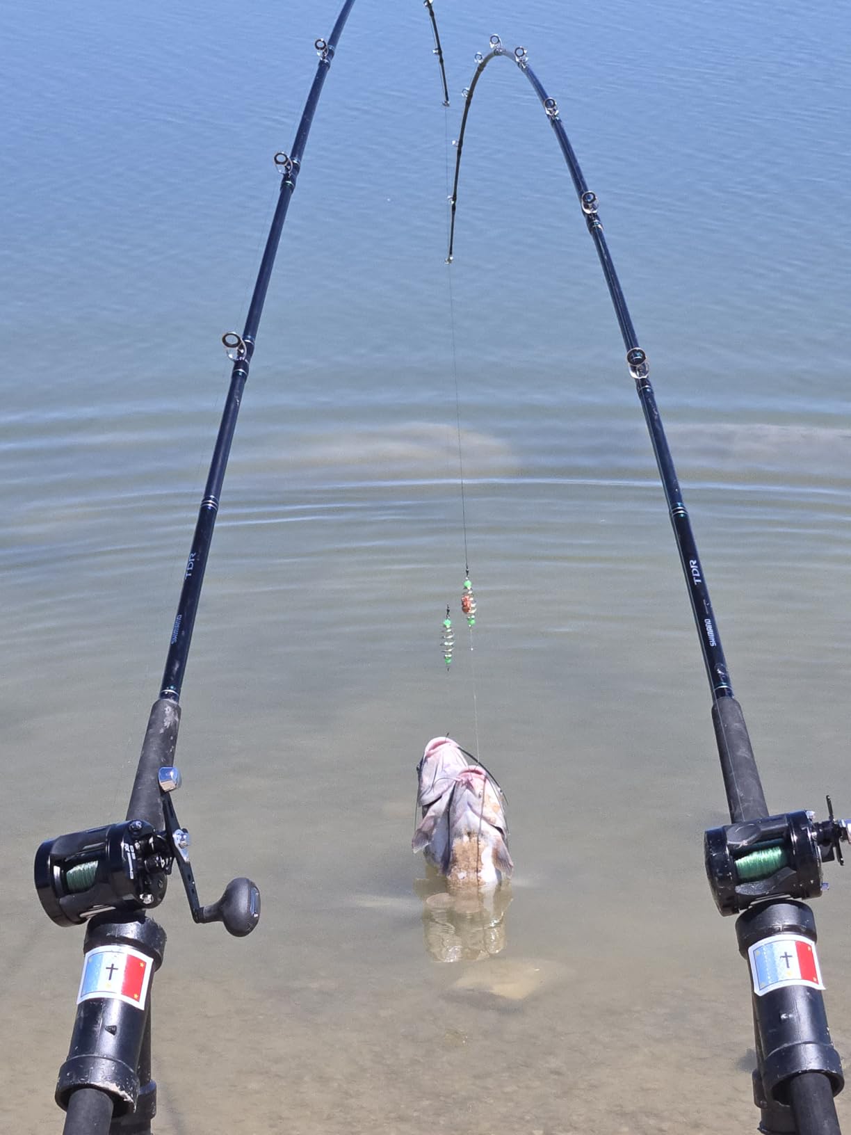 Piscifun Chaos XS Round Baitcasting Reel, Saltwater Conventional Reel customer photo 1
