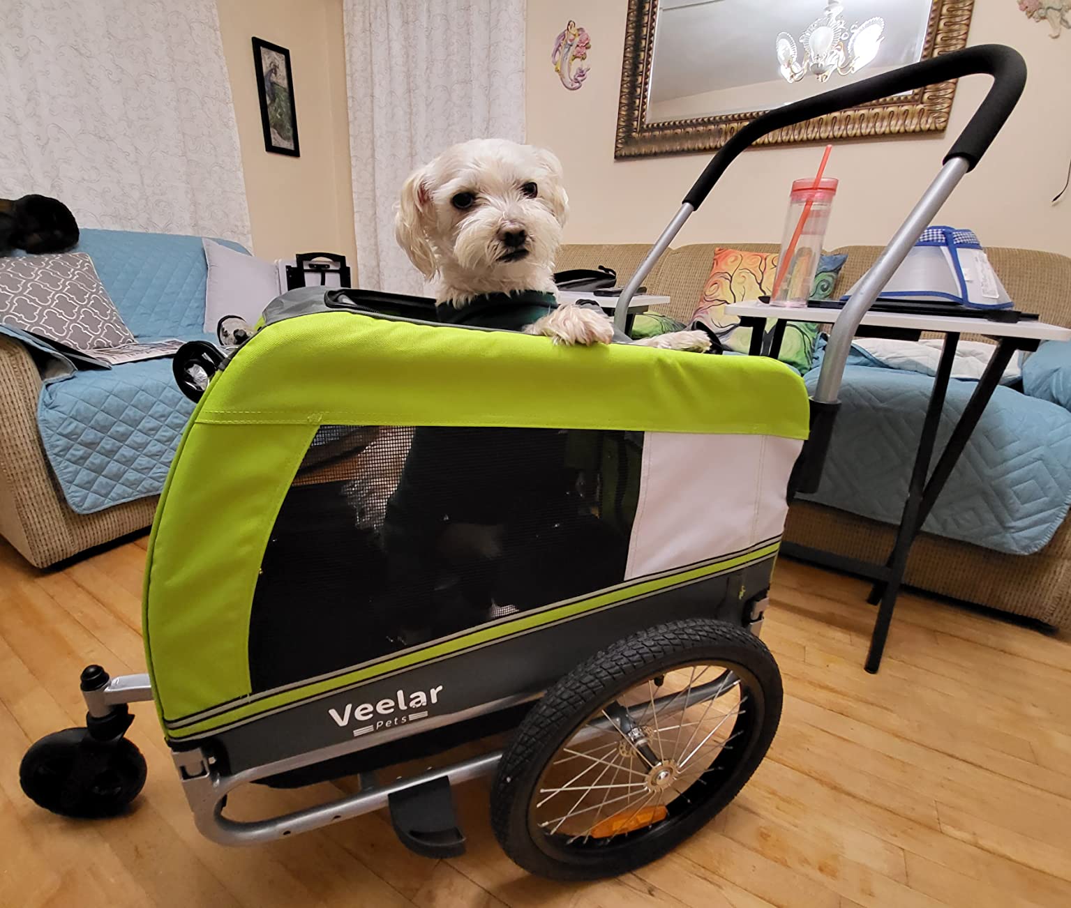 Tiggo Veelar Sports Pets Large Dog Bike Trailer & Stroller for Medium,Large Dog or Multiple Small Dogs, Pet Stroller for Dogs Up to 78 lbs, Parking Brakes, Low Center of Gravity customer photo 1