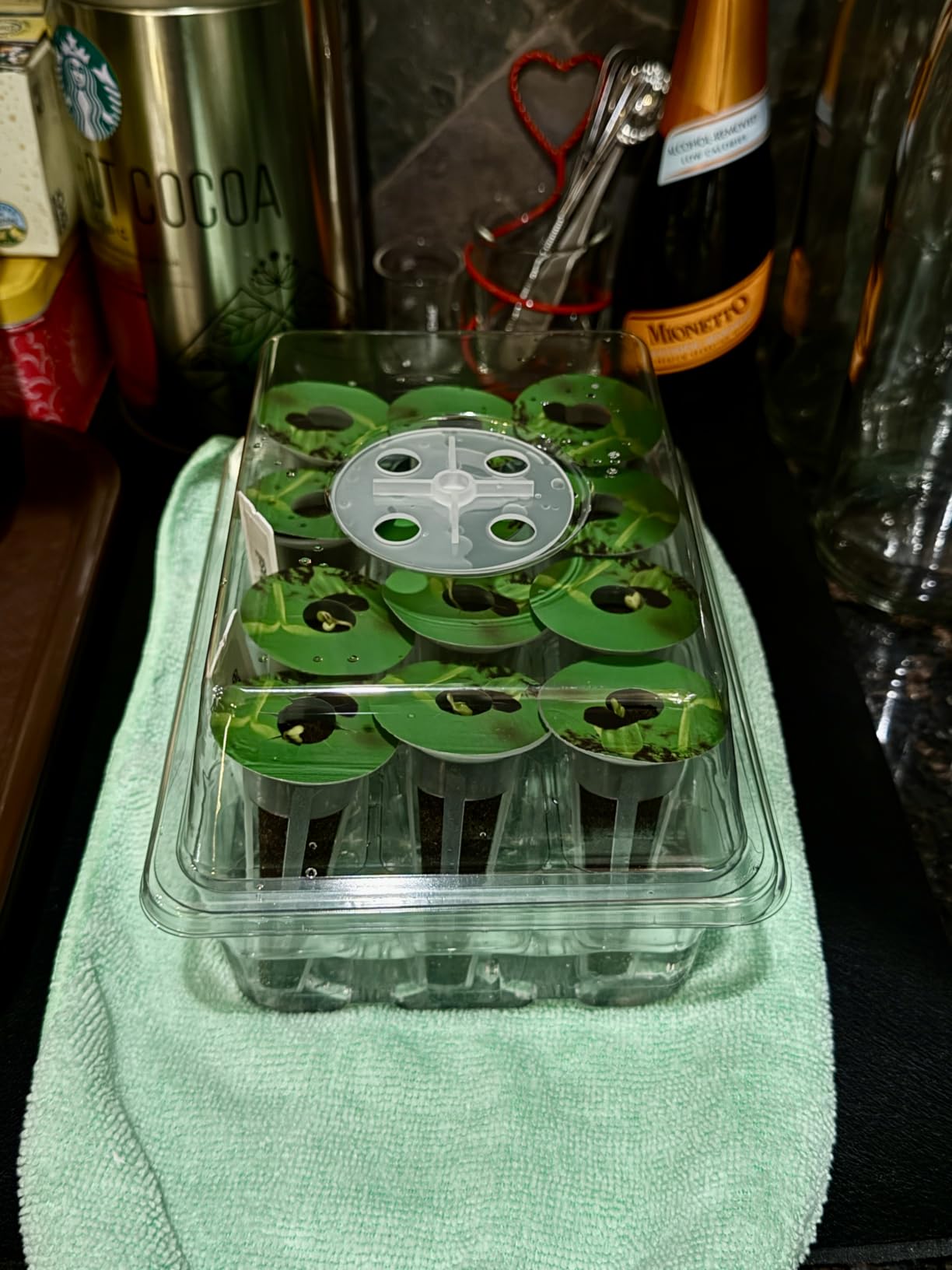 Bonviee 5-Pack Seed Starter Trays, Humidity Dome, Base, 12-Cell Tray, Black customer photo 1