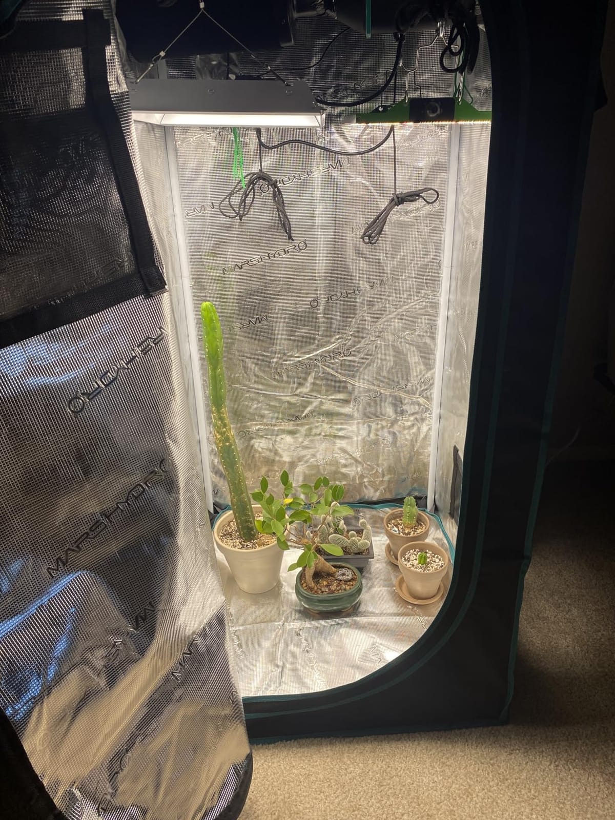 MARS HYDRO 2x2ft Grow Tent Kit with TS600 100W Full Spectrum LED Grow Light customer photo 2