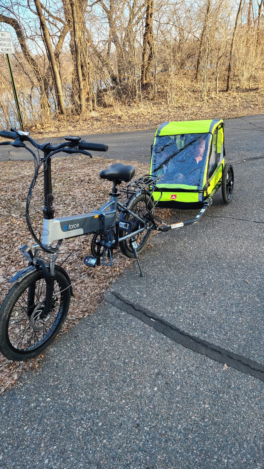 Allen Sports Hi-Viz 2-Child Bicycle Trailer, Model ET2 customer photo 1