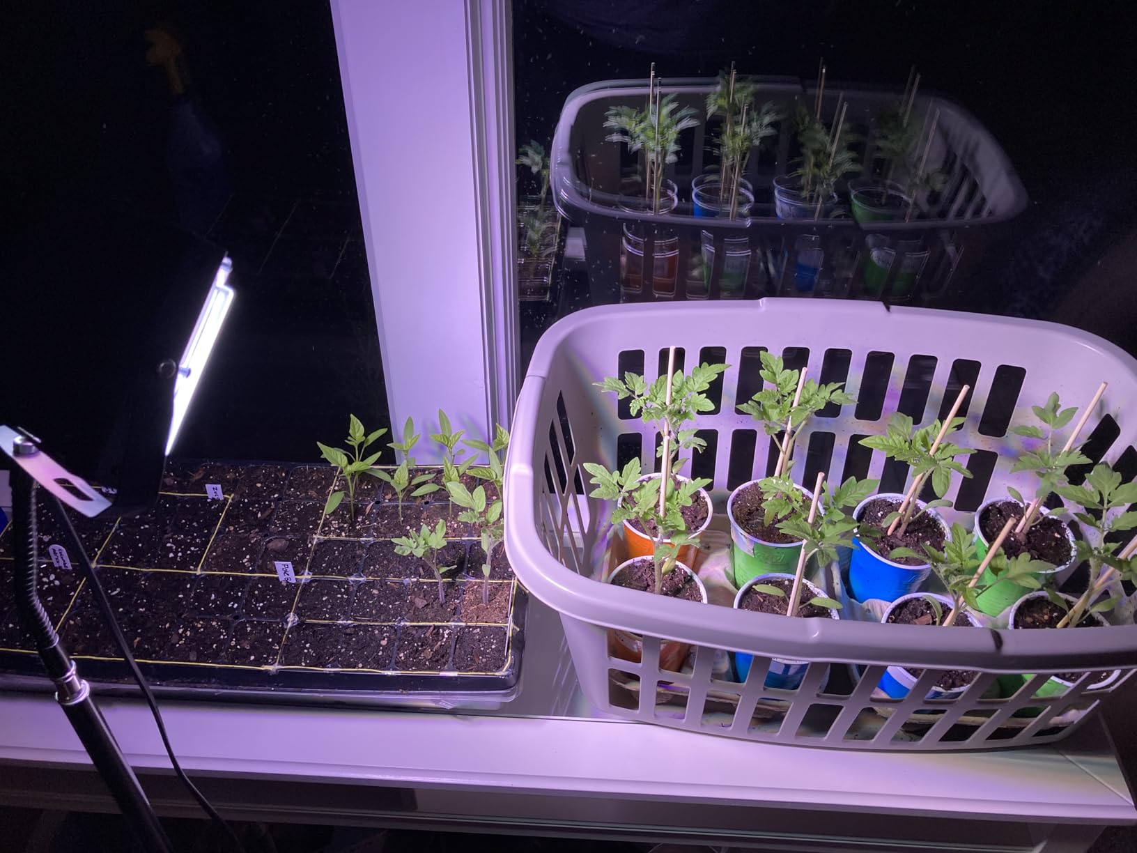LBW Grow Light with Stand, Full Spectrum Grow Lights for Indoor Plants customer photo 1