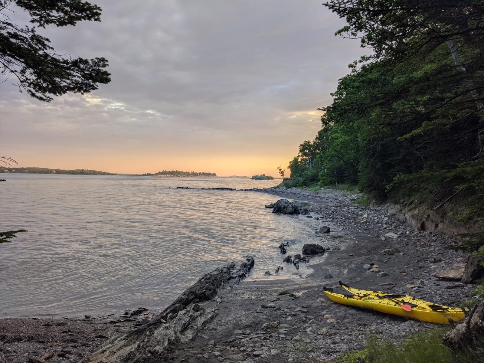 Hornet Watersports Fiberglass Kayak Paddle for Adults- Ideal for Touring, Fishing and Boating- 90.5 inches / 230CM Adjustable with Carbon Fiber Shaft- Kayak Oars Kayaking Equipment customer photo 1
