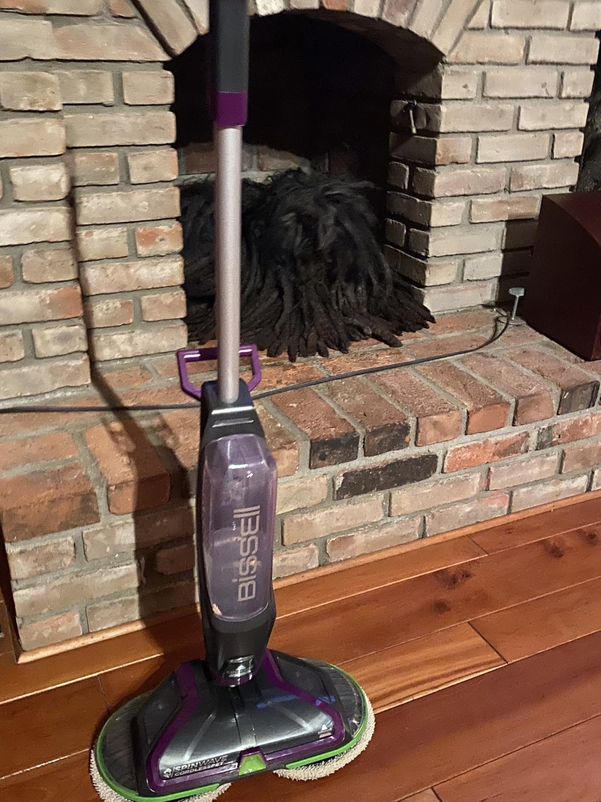 Bissell SpinWave Cordless Pet 23157 customer photo 1