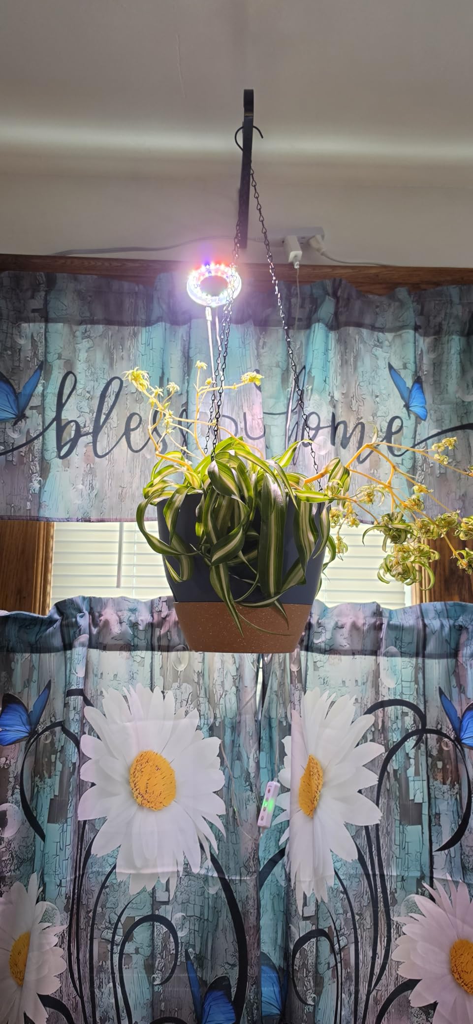 yadoker Plant Grow Light, LED Growing Light Full Spectrum for Indoor Plants,Height Adjustable, Automatic Timer, 5V Low Safe Voltage,Idea for Small Plant Light customer photo 1