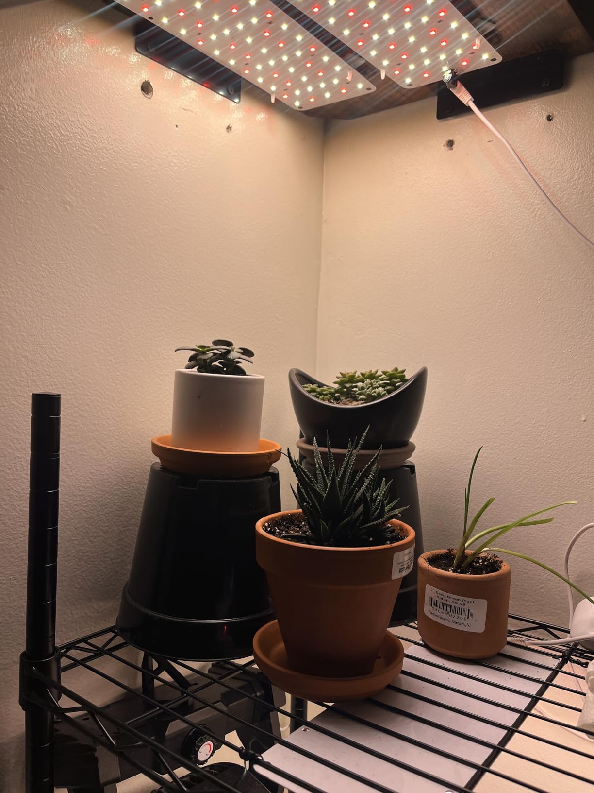 Panel Grow Light for Indoor Plants, 20W Ultra-Thin Full Spectrum customer photo 2