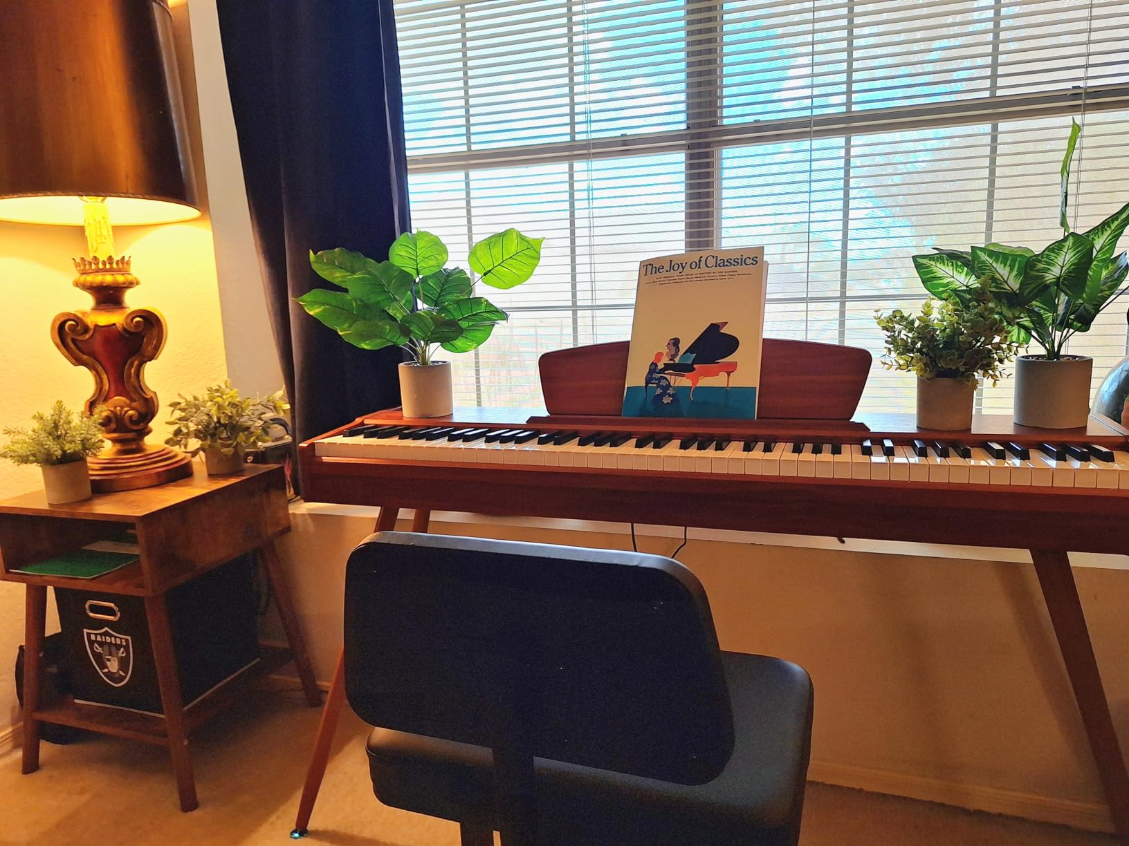 Donner DDP-80 Digital Piano 88 Key Weighted Keyboard, Full-size Electric Piano for Beginners, with Sheet Music Stand, Triple Pedal, Power Adapter, Supports USB-MIDI Connecting, Retro Wood Color customer photo 2
