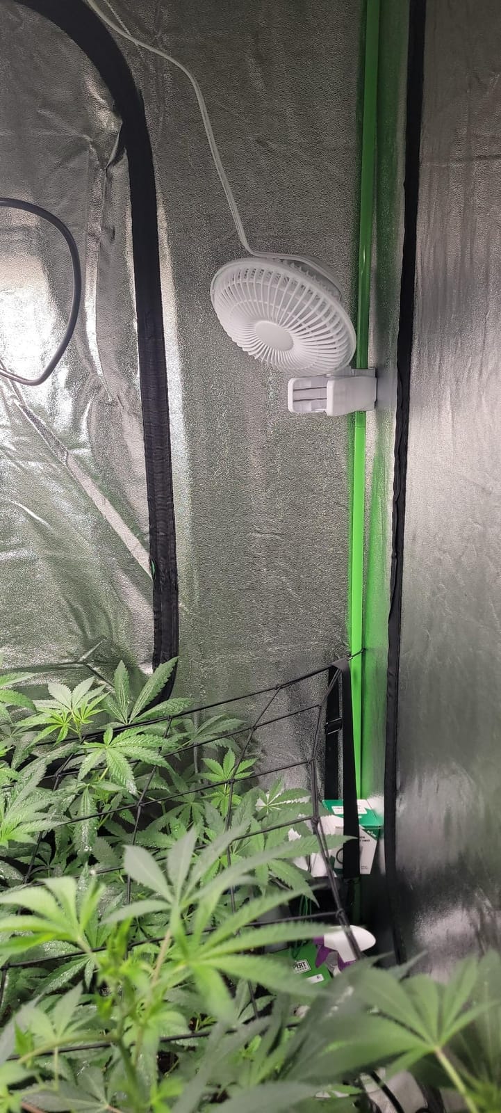 HealSmart Clip Fan, 6-Inch Grow Tent Fan, Monkey Fan, Wall Mount Fan with Adjustable 90° Angles, 15W, 2-Speeds Control, 1 Pack customer photo 1