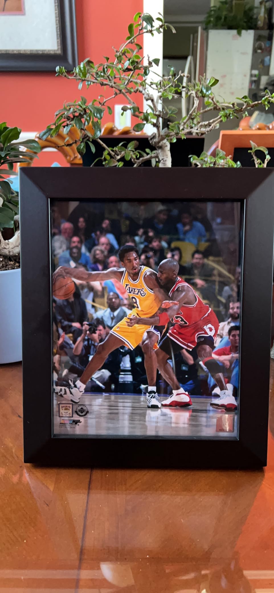 VCK 24x36 Poster Frame 3 Pack, Black Solid Wood Picture Frame, Wall Display customer photo 1