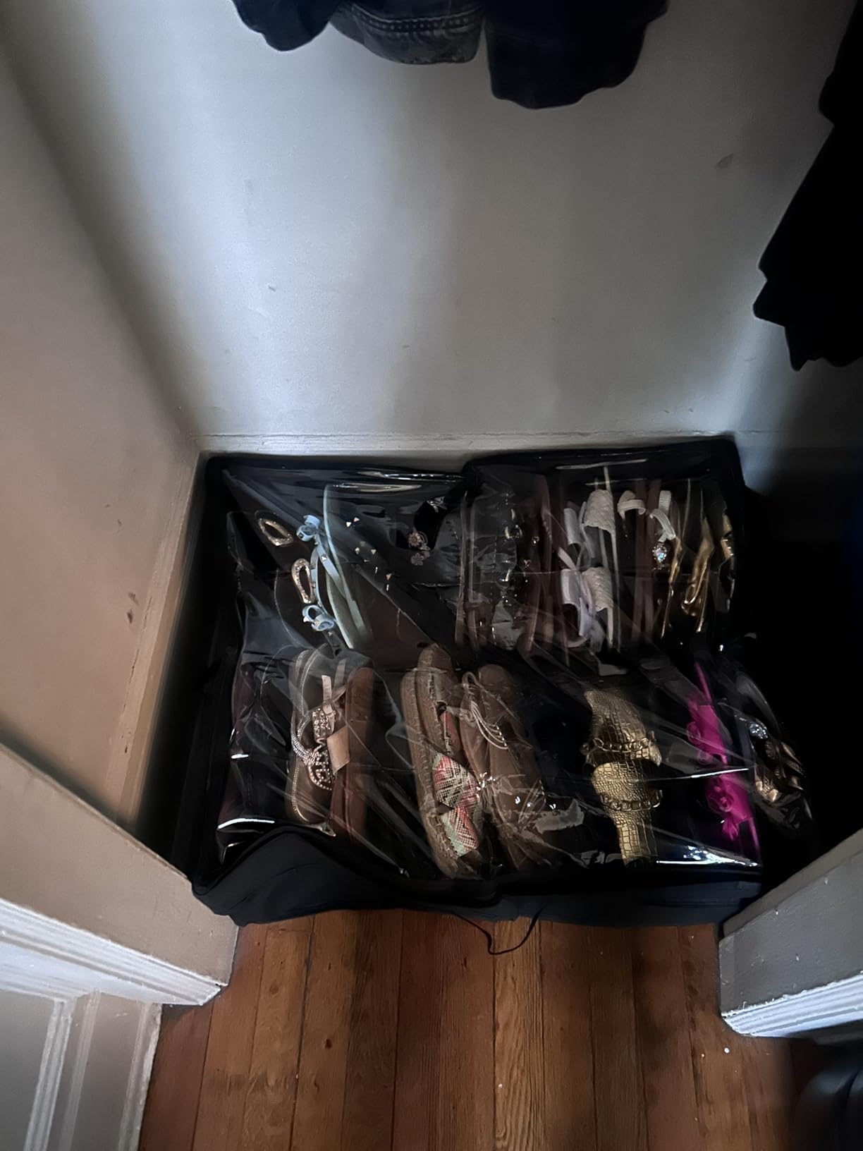 Lifewit Under Bed Shoe Storage Organizer 2 Pack(12 Shoes Cells), 4.3 Inches Profile Fabric Shoes Container Box with Clear Cover, Foldable Storage Bag with 2 Handles, Fits 12 to 24 Pairs customer photo 2