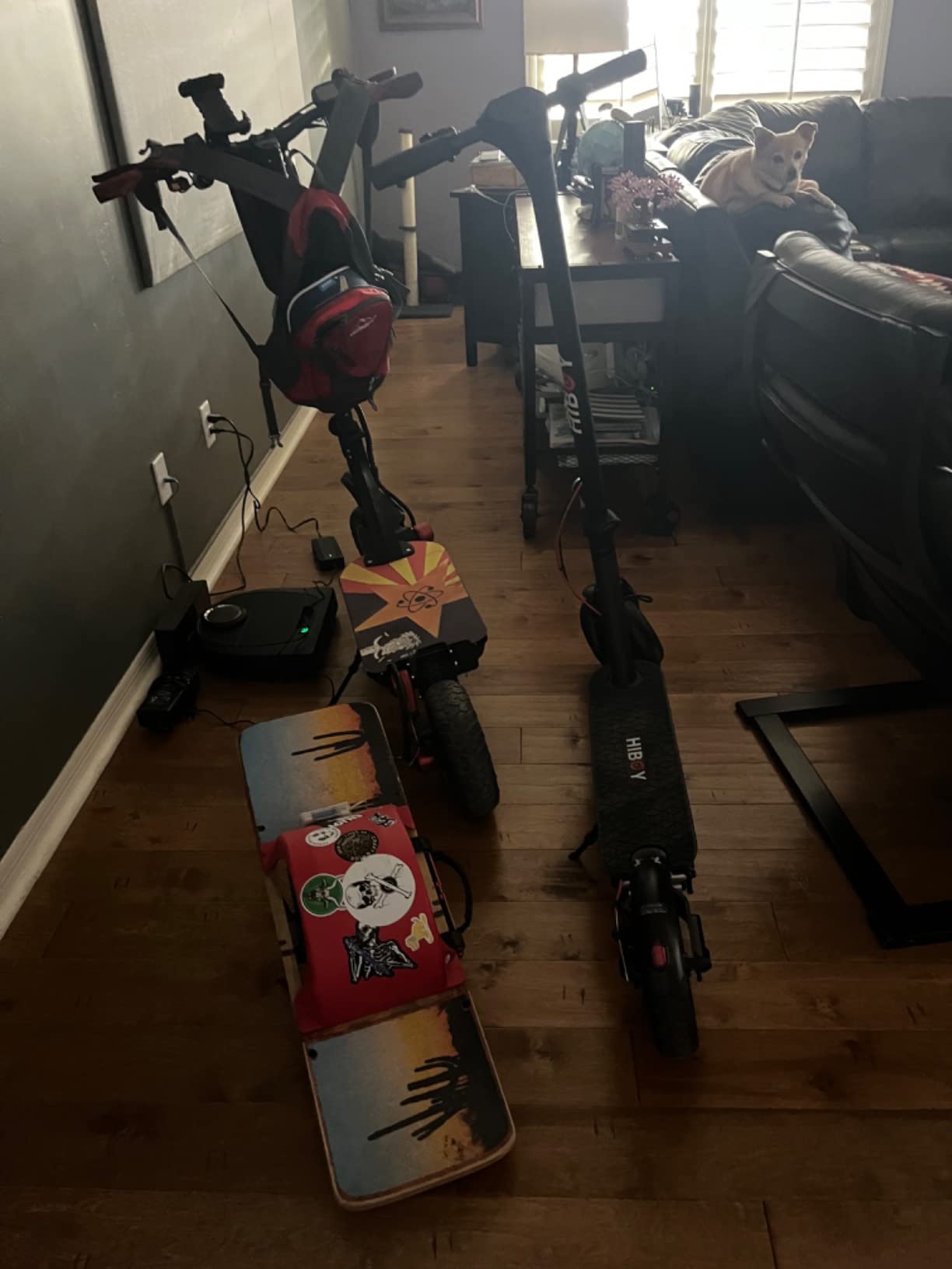 Hiboy KS4 Pro Electric Scooter for Adults, 25-Mile Range, 19 MPH customer photo 2