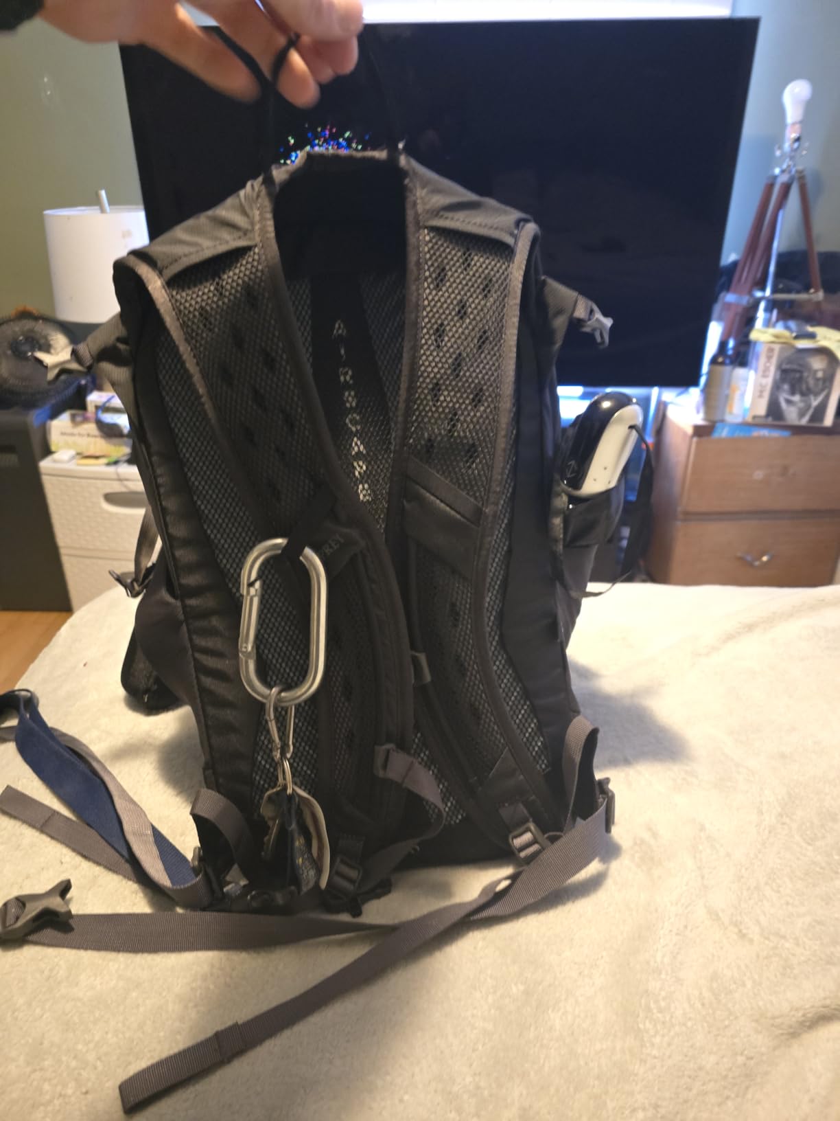 Osprey Sportlite 20L Unisex Hiking Backpack, Blue Sky customer photo 2