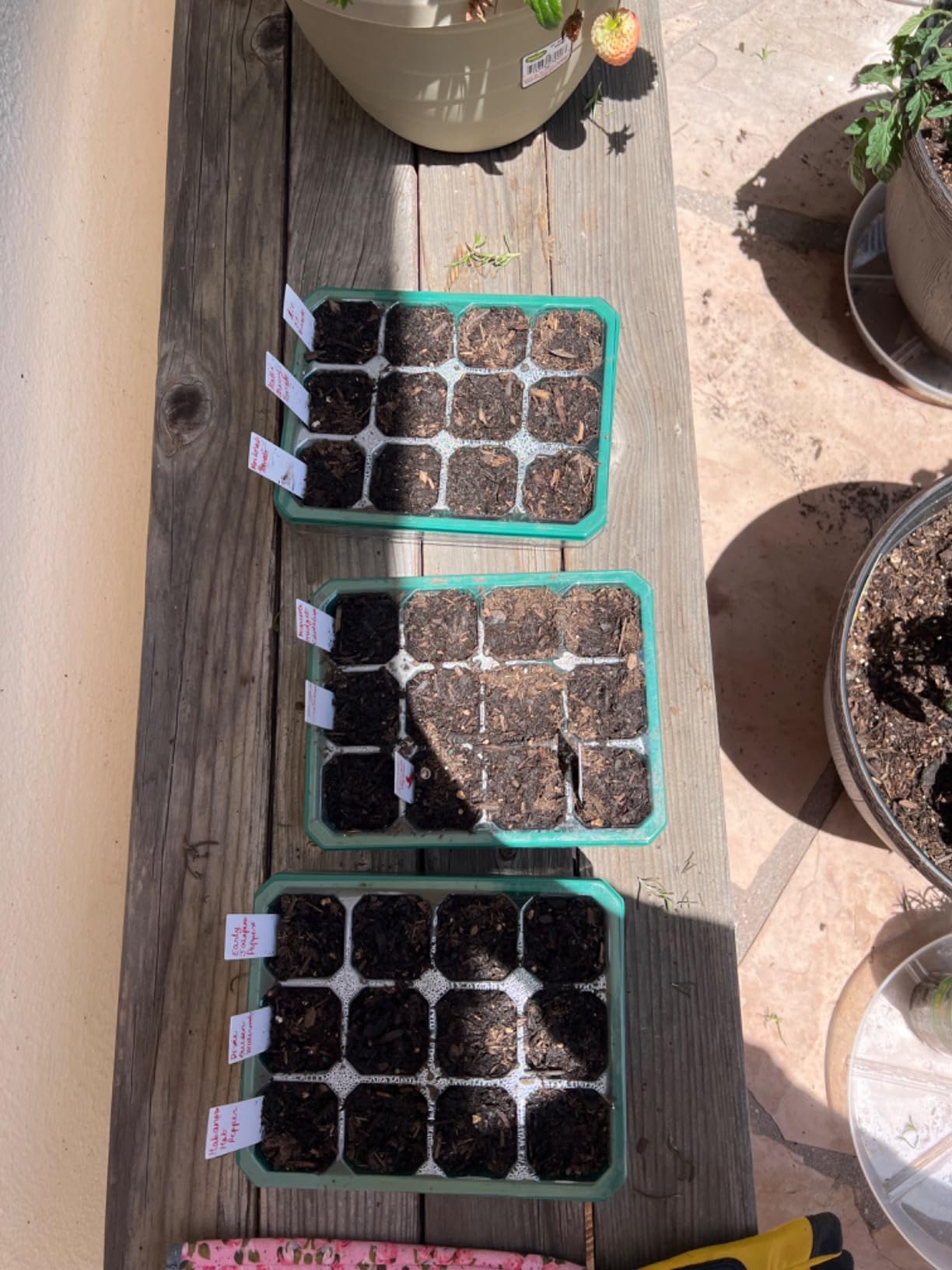 VIVOSUN 6-Pack Seed Starter Trays, 72-Cell Starter Kit with Humidity Dome customer photo 2