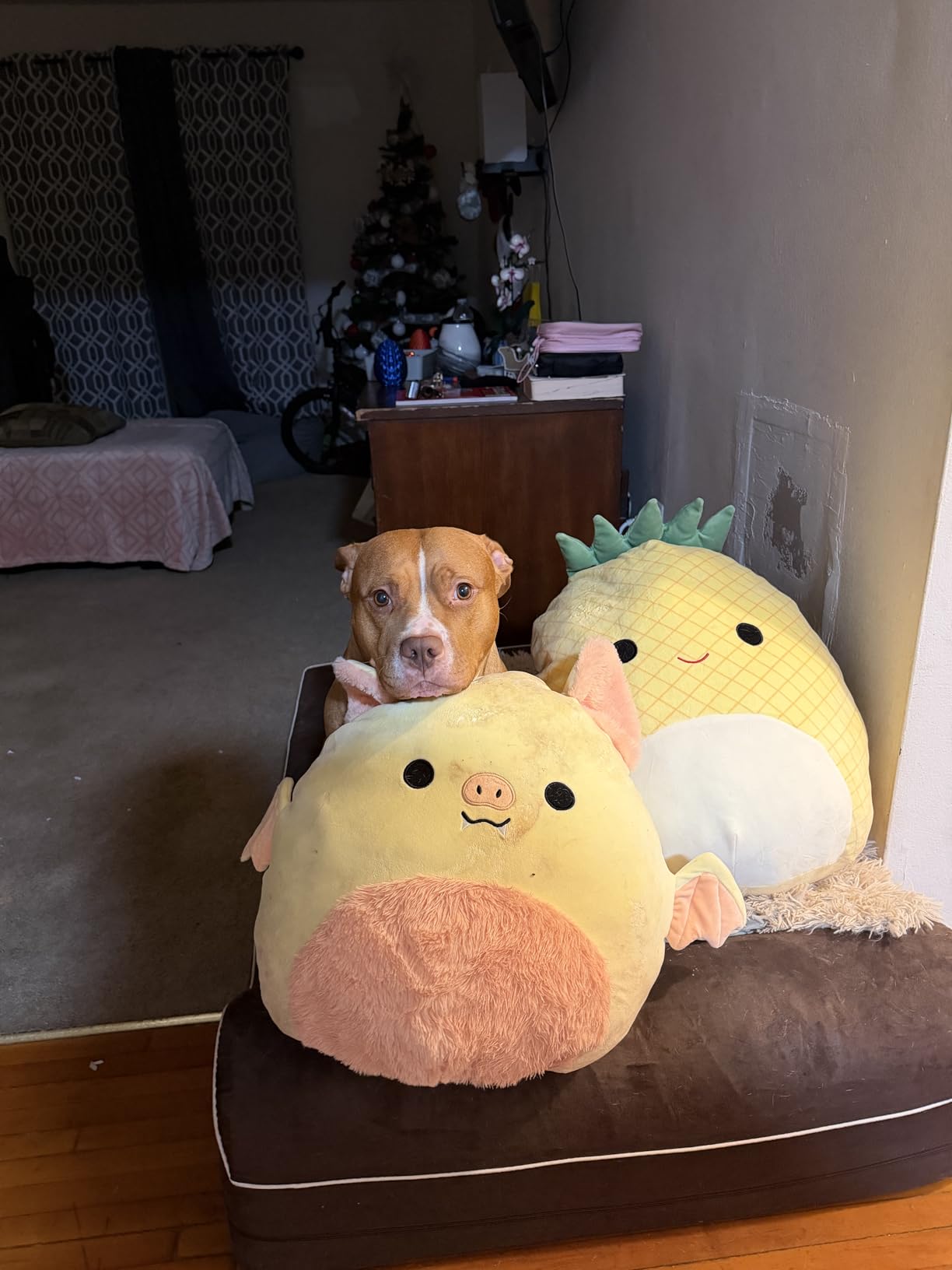Squishmallows Original 20-Inch Maui Yellow Pineapple with Green Top - Jumbo Ultrasoft Official Jazwares Plush customer photo 2