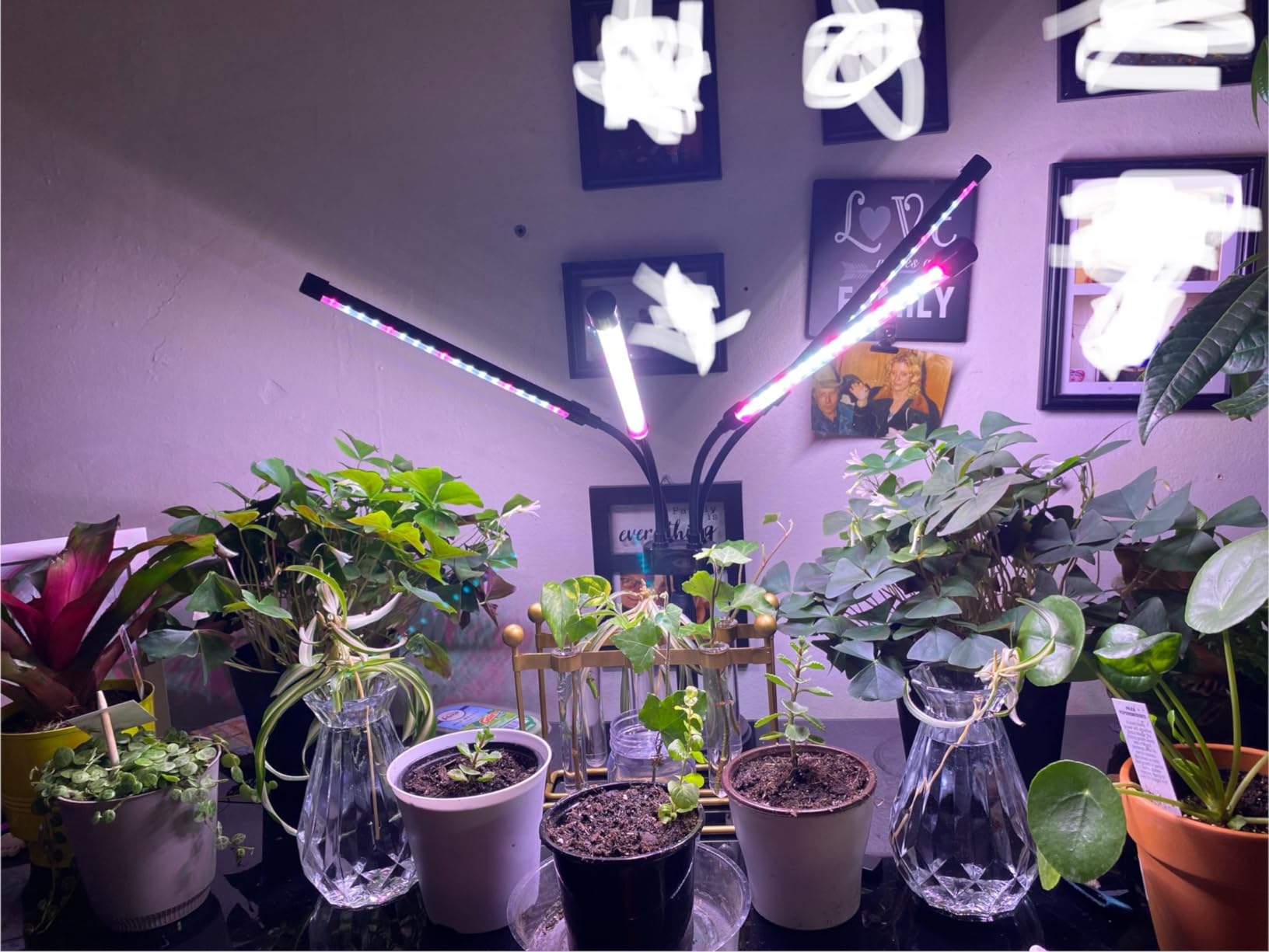 SYEIORAOM Grow Lights for Indoor Plants, Four Head LED Grow Light with Full Spectrum, Red White Spectrum for Indoor Plant Lamp, Adjustable Gooseneck, Suitable for Vegetation customer photo 2