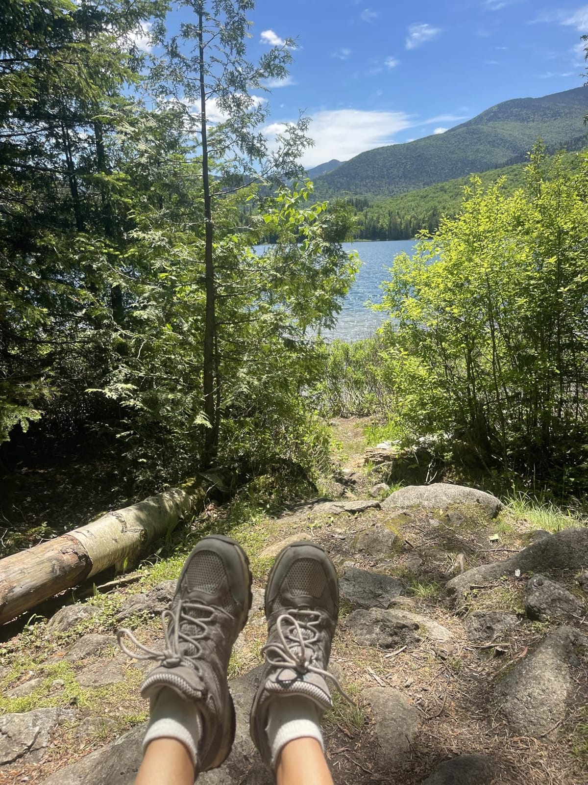 NORTIV 8 Women's Lightweight Hiking Shoes customer photo 1