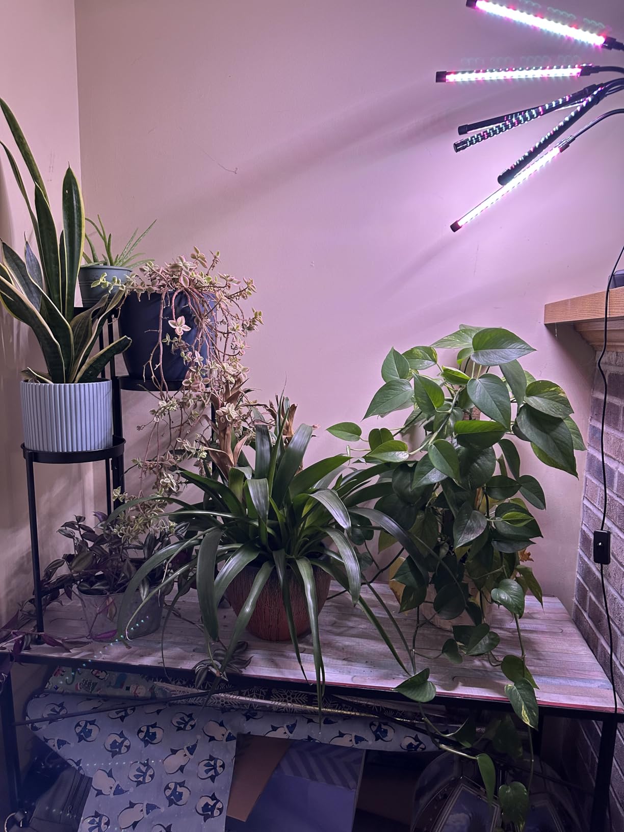 SYEIORAOM Grow Lights for Indoor Plants, Six Head Plant Light with Full Spectrum, LED Grow Lamps for Seed Starting with Adjustable Gooseneck, Suitable for Flowers Vegetables customer photo 1