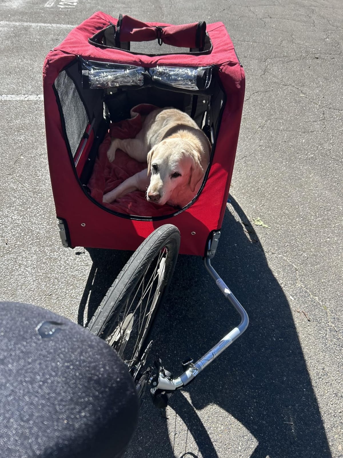 DOGGYHUT® Premium X Large Pet Bike Trailer & Stroller Up to 100 lbs (Gray) customer photo 1