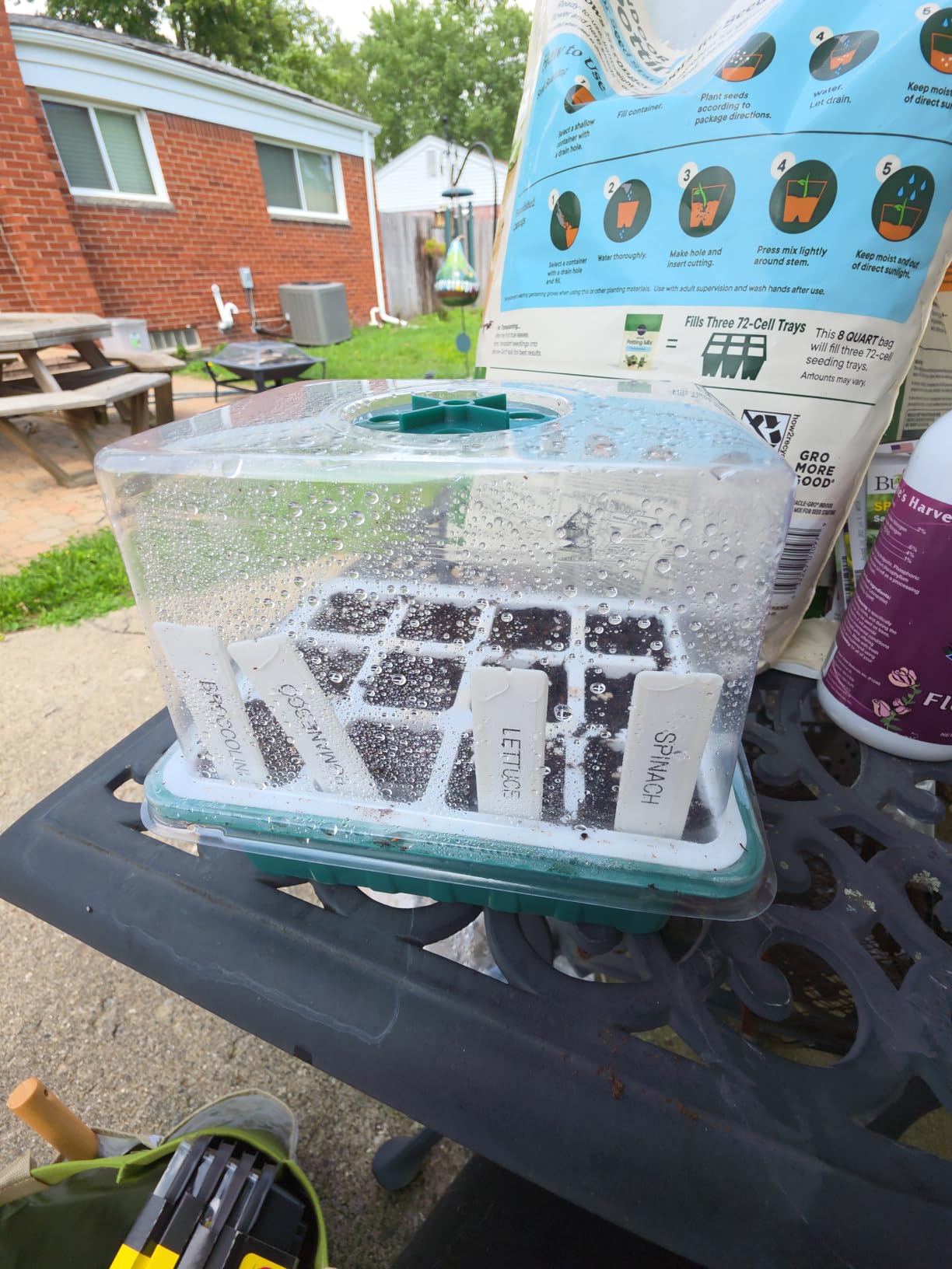Seed Starter Tray, 48 Cells Indoor Seed Starter Kit, Flexible Silicone Designed Seedling Starter Trays, Germination Tray with Humidity Dome & Lids(4in Height), Reusable & Dishwasher Safe, BPA-FREE customer photo 1