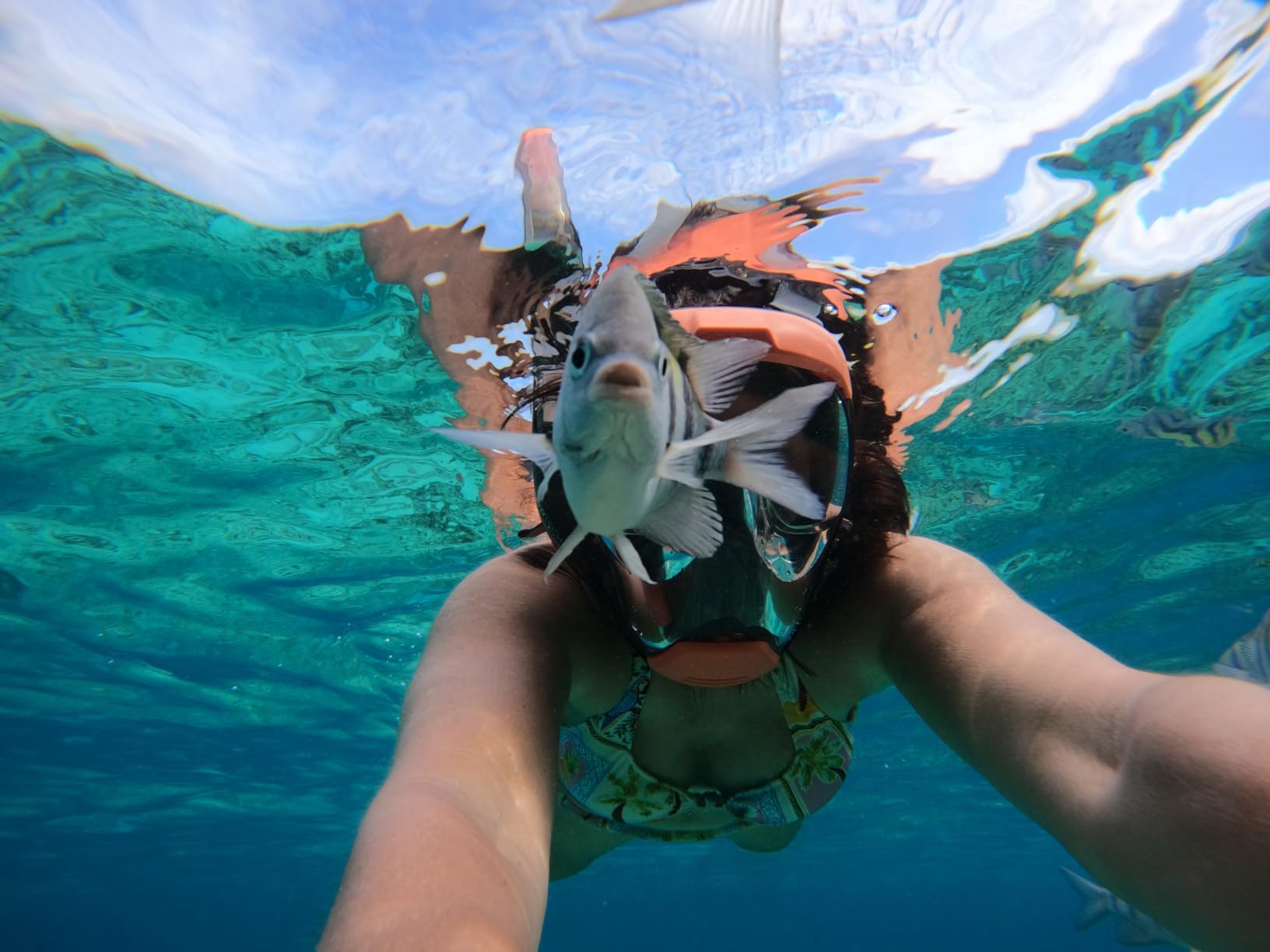 Seaview 180 V3 Full Face Snorkel Mask - Snorkeling Gear for Adults customer photo 1