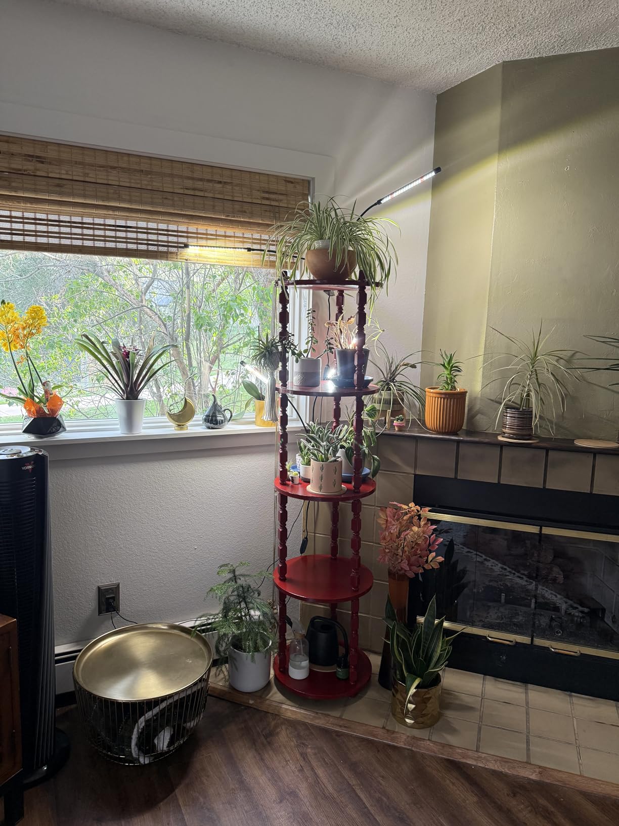 Wolezek Clip on Grow Lights for Indoor Plants, Full Spectrum 6000K customer photo 1