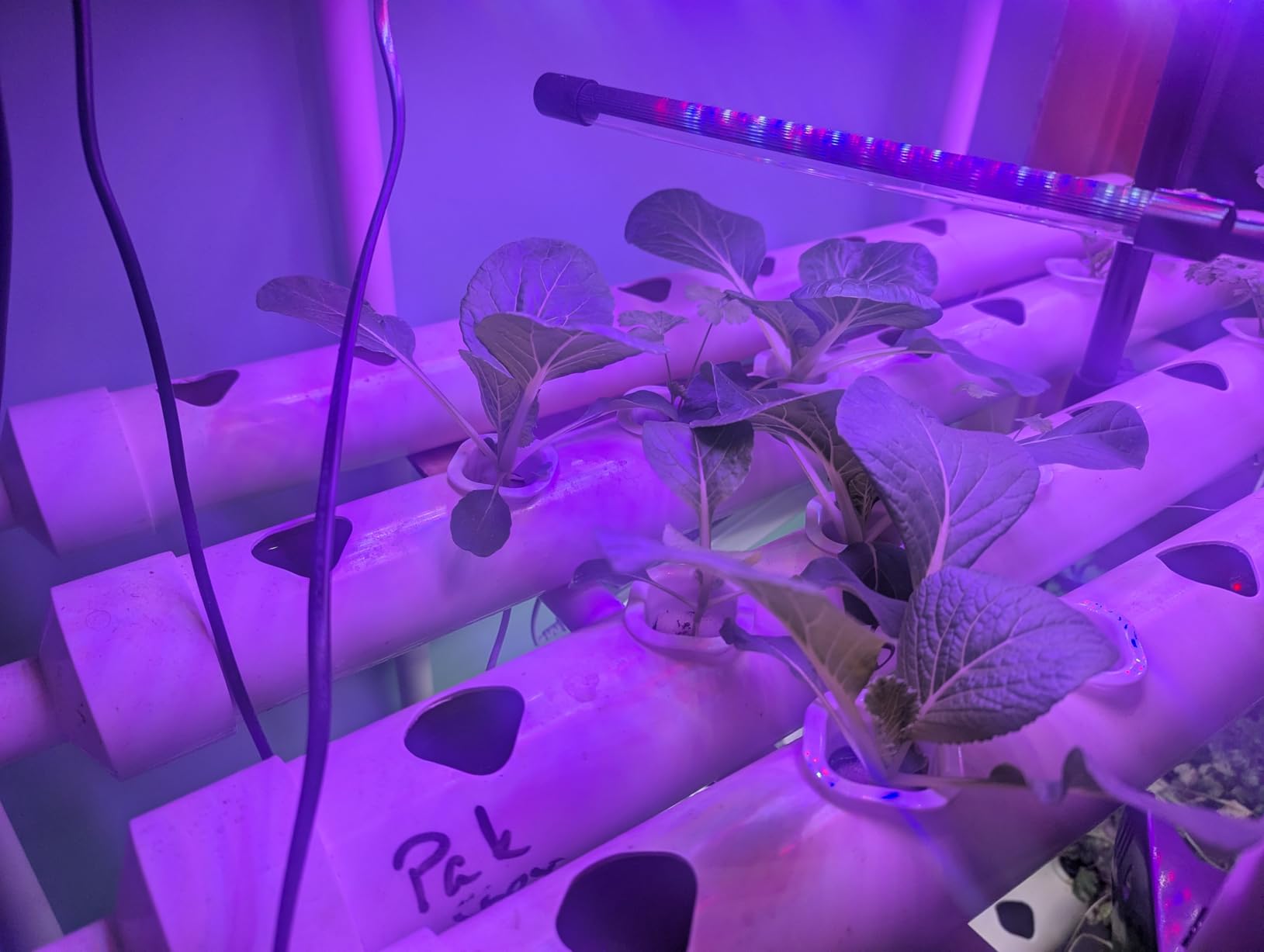 3-Tier 108 Plant Sites Hydroponics Growing System Kit customer photo 2