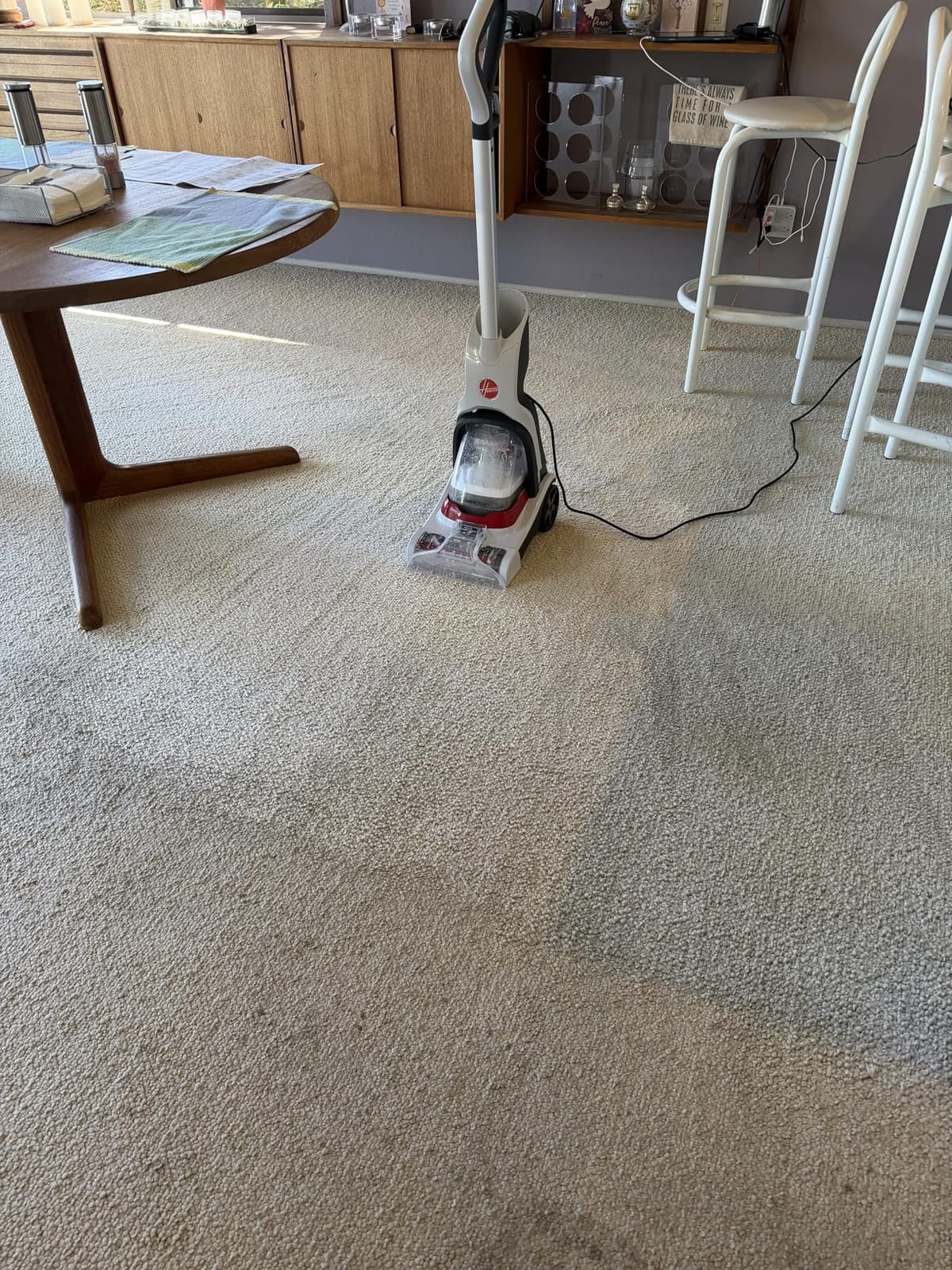Hoover PowerDash Pet+ Compact Carpet Cleaner, Lightweight Carpet Shampooer customer photo 2