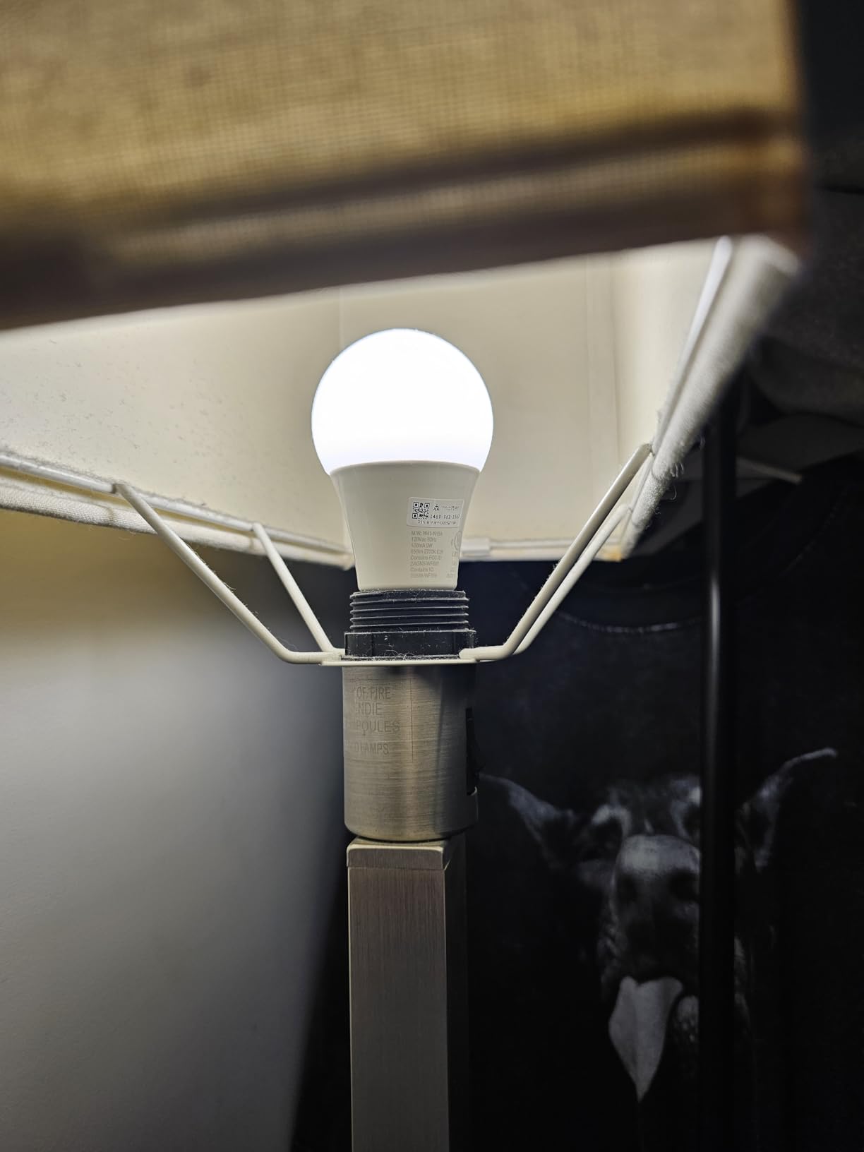 Sengled Matter A19 customer photo 1