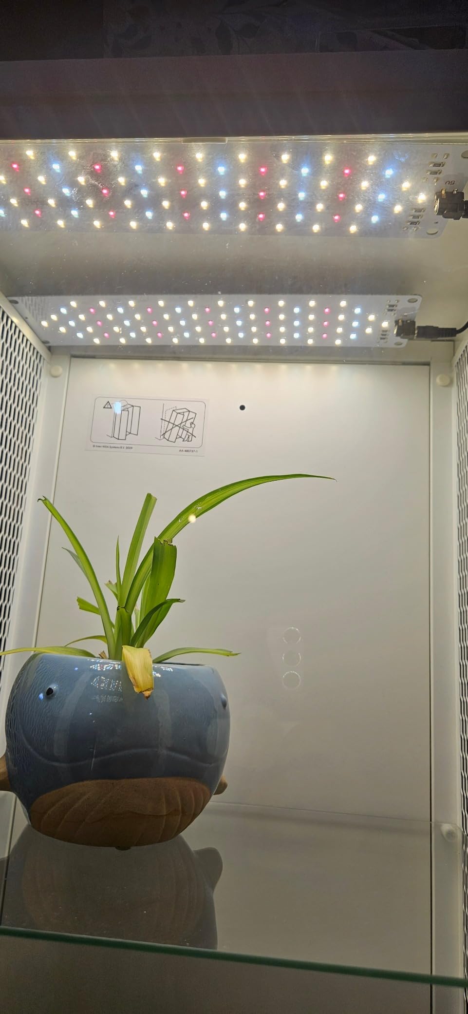 Grow Light,40W Ultra-Thin Panel Grow Lights for Indoor Plants,316LEDs Full Spectrum Grow Lights for Under Cabinet Plant, Grow Lamp with 3/9/12H Timer,10 Dimmable Levels for Plants Growing (4pcs) customer photo 2