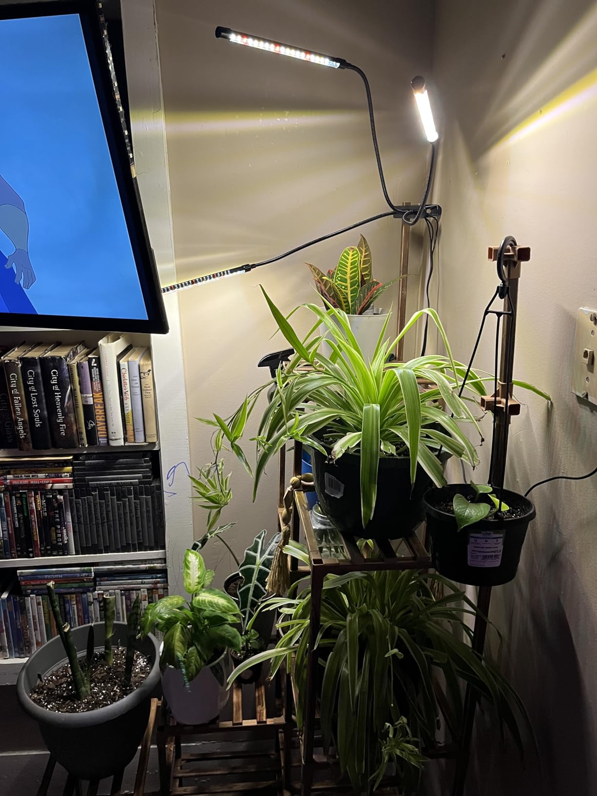 Grow Lights for Indoor Plants, Full Spectrum 2 Head Clip Plant Lights customer photo 1