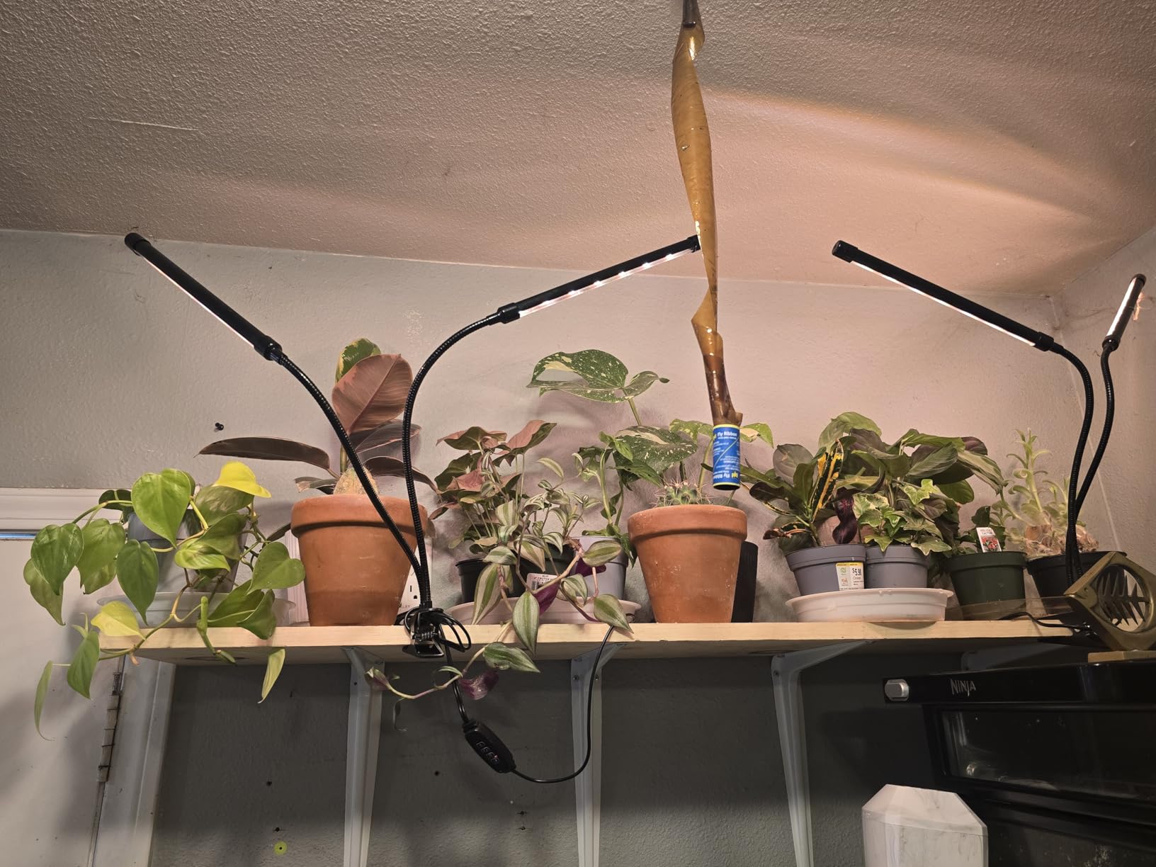 Grow Lights for Indoor Plants, Full Spectrum 2 Head Clip Plant Lights customer photo 2