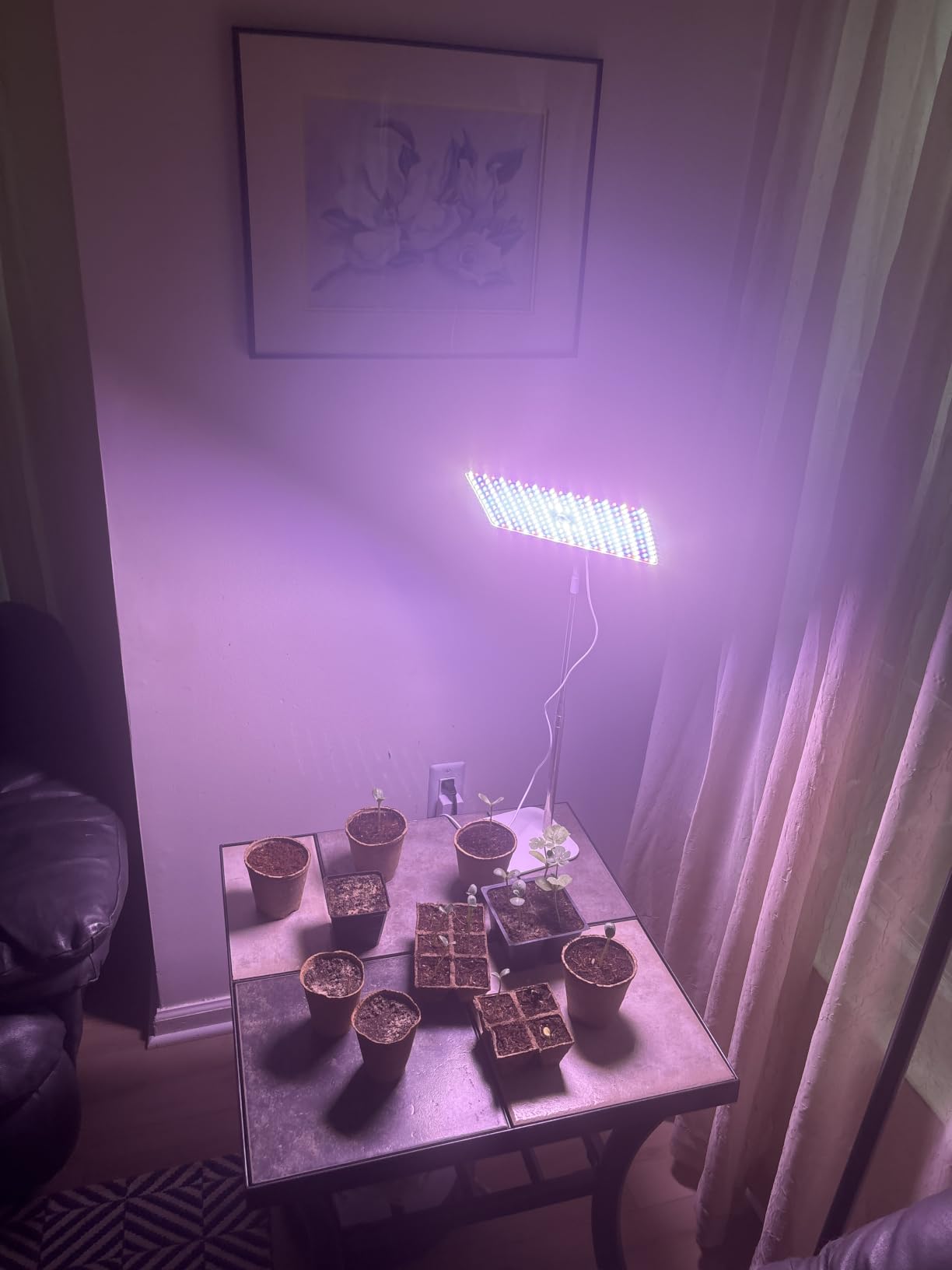 LBW Desk Grow Light, 214 LEDs Full Spectrum Plant Light for Indoor Plants customer photo 1