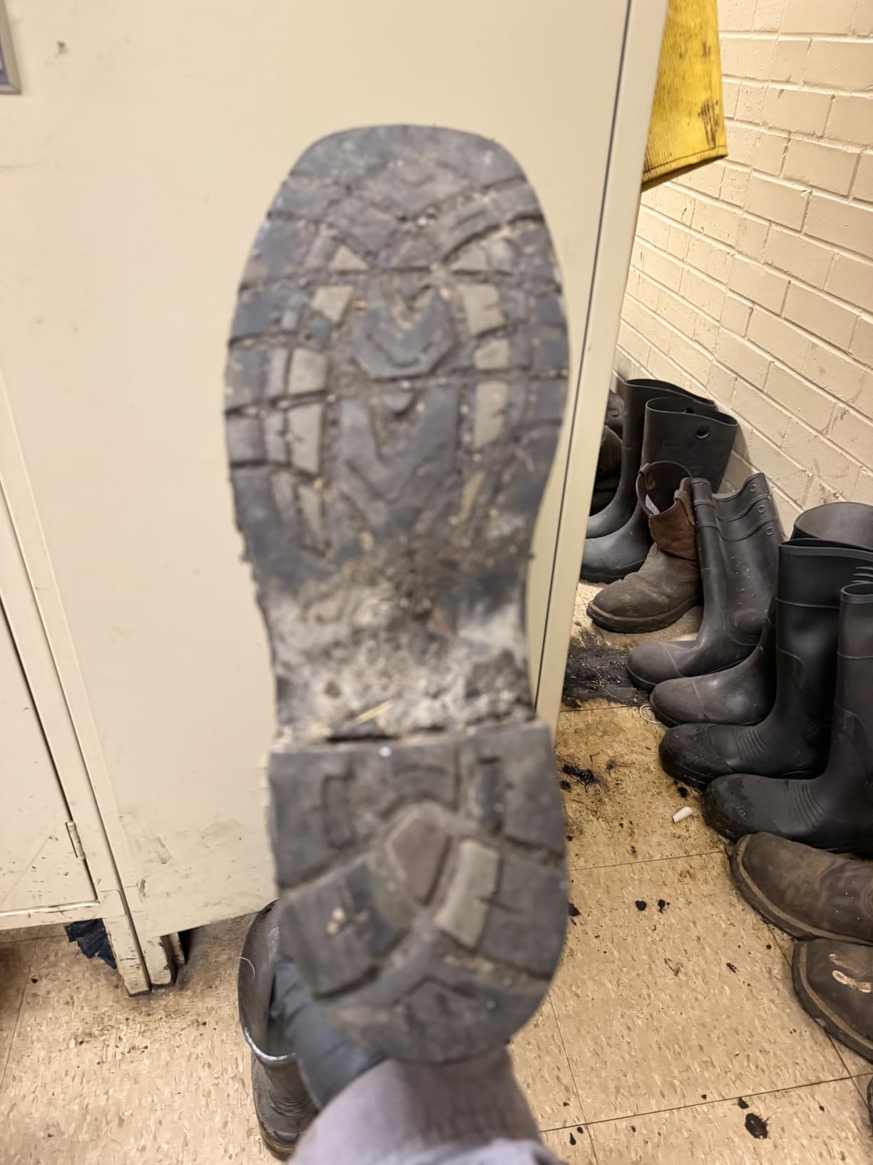 Justin Work Bolt 11