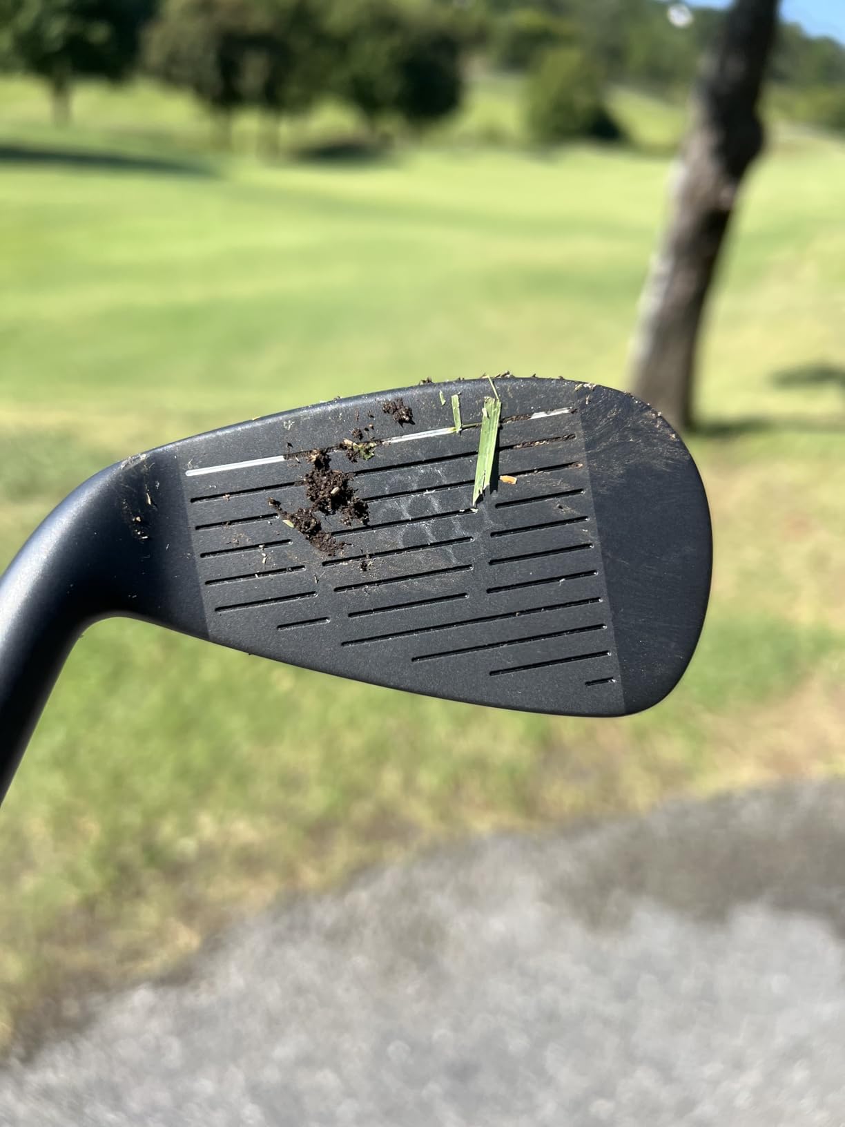 XM-01 Individual Golf Irons or Golf Irons Set - Premium Men Golf Club Iron with Steel Shaft for Right Hand Golfers Stiff Flex customer photo 2