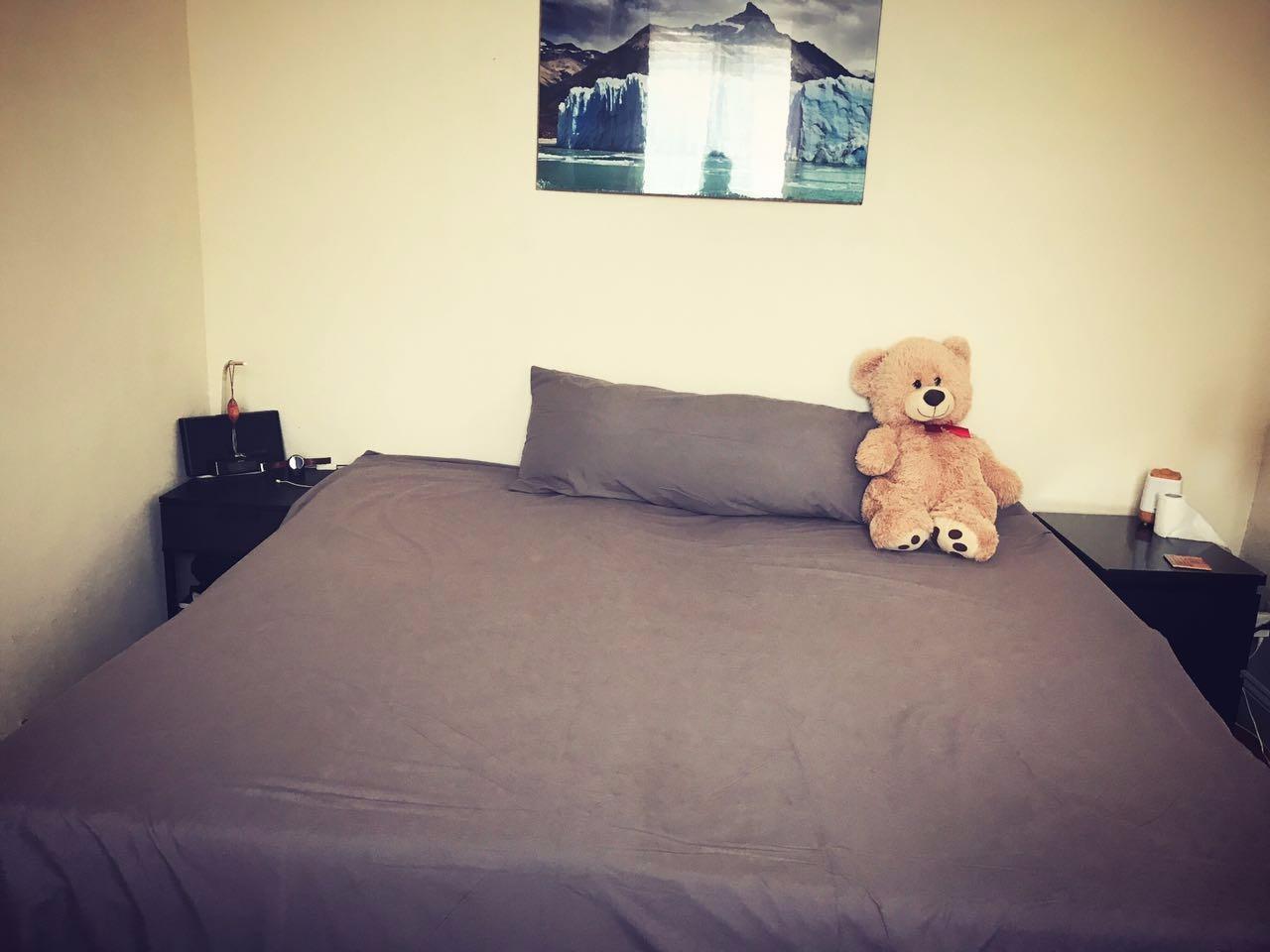 Shilucheng Tencel Sheets 4 Piece, 100% Eucalyptus Lyocell Sheets Set customer photo 2