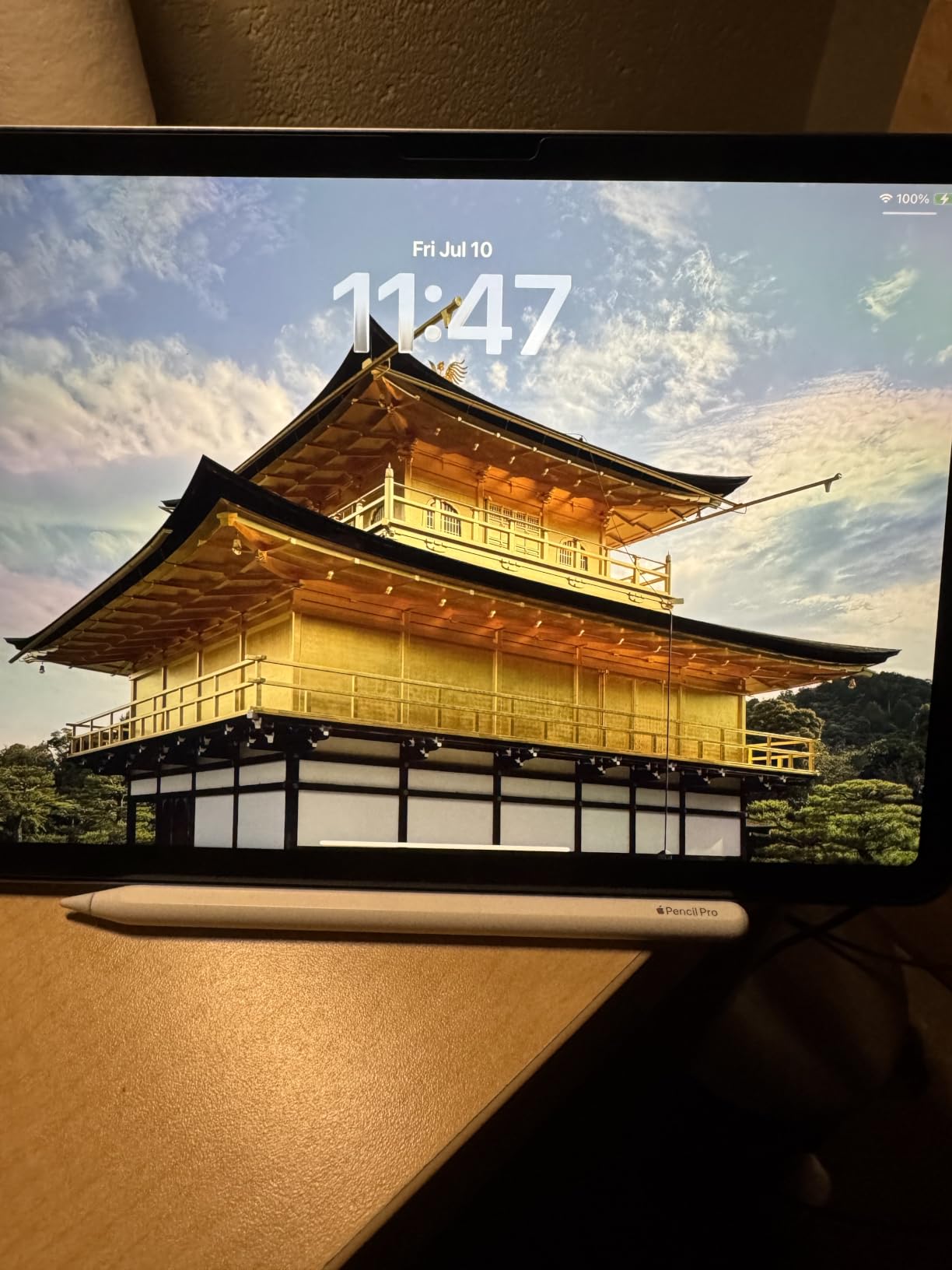 Apple Pencil Pro customer photo 1