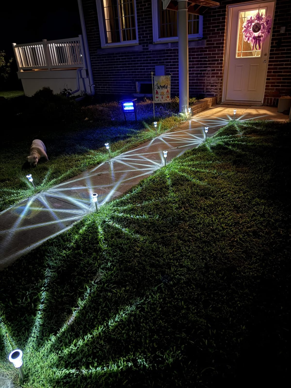 DenicMic Solar Halloween Lights Outdoor Waterproof 10 Pack Halloween Decor customer photo 1