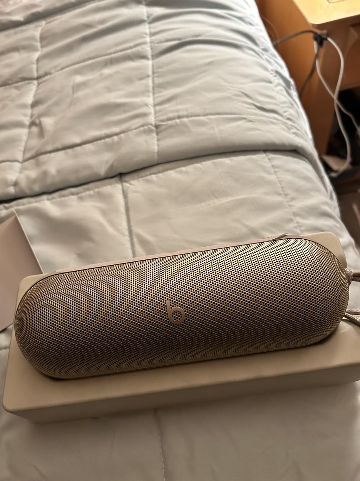 Beats Pill customer photo 1